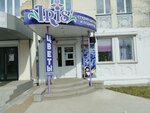 Iris (89-y kvartal, 7), flower shop