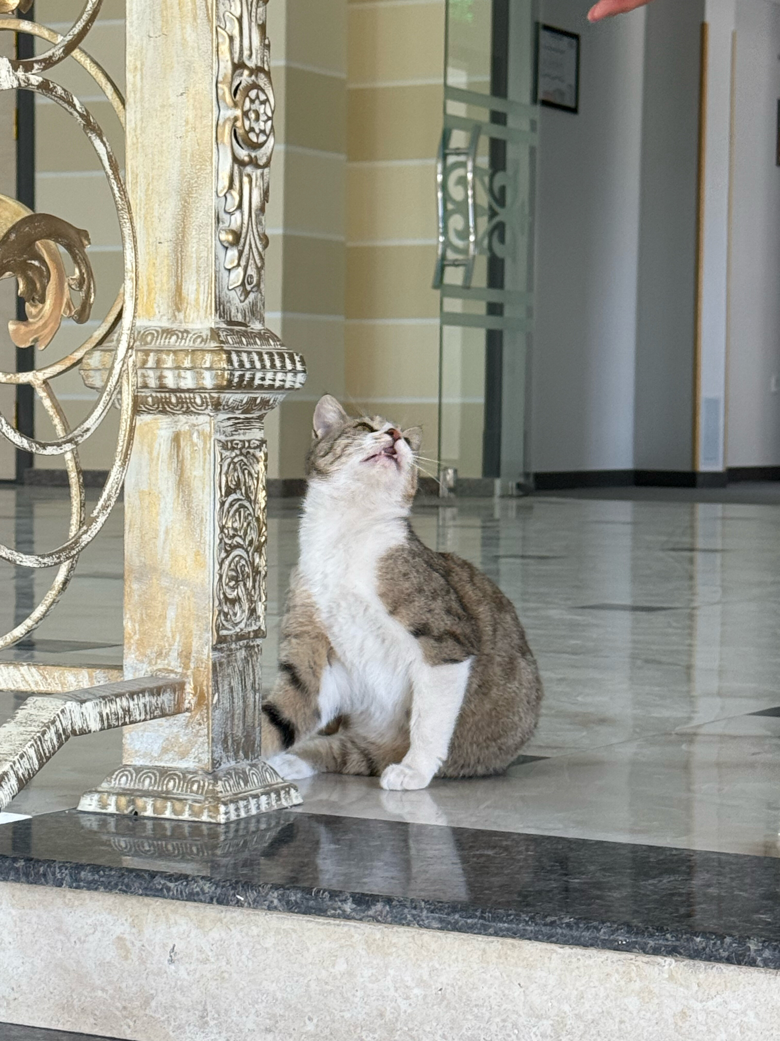 Фото Khiva Residence Hotel