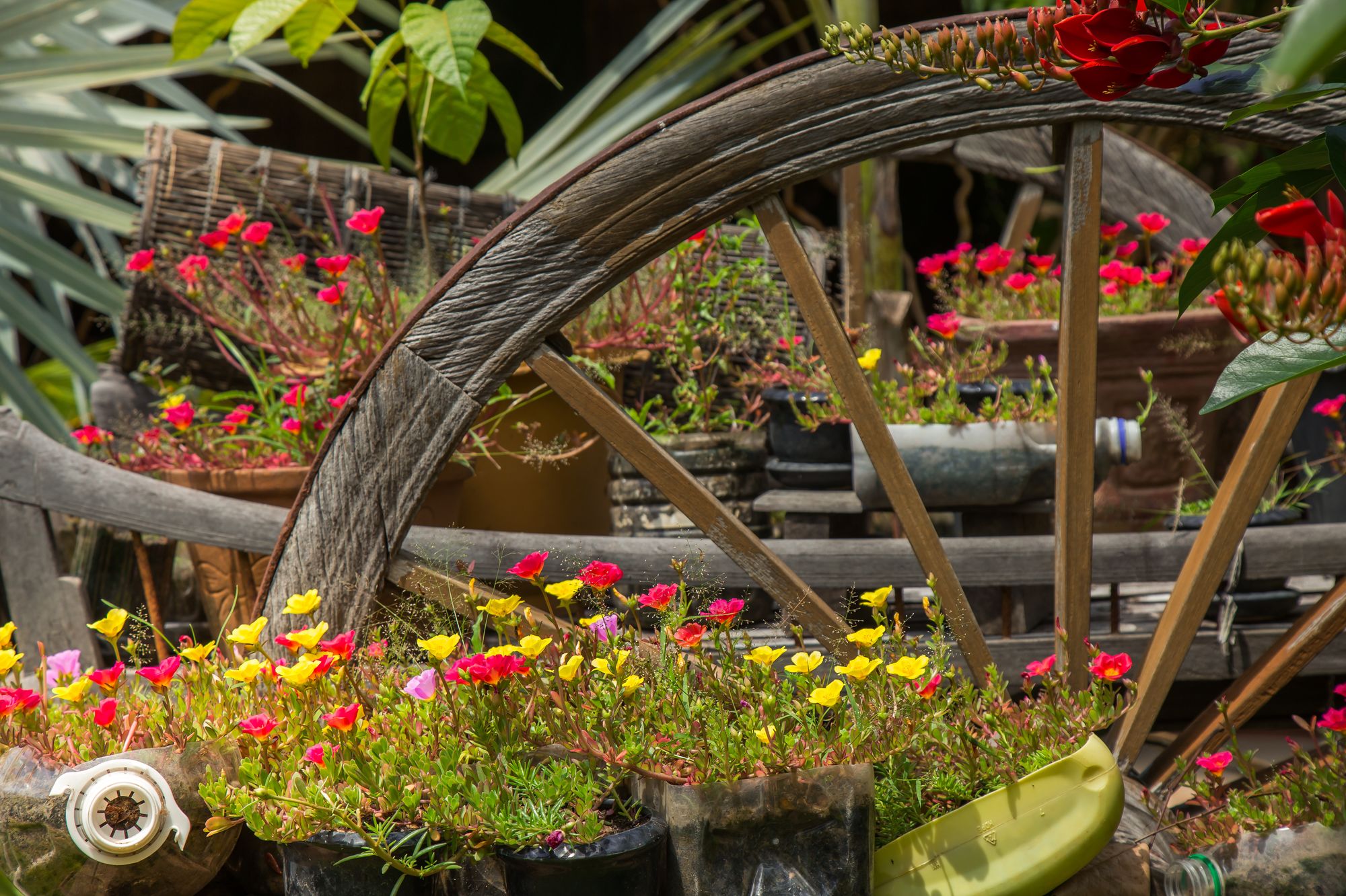 Фото Reveal Angkor Hotel