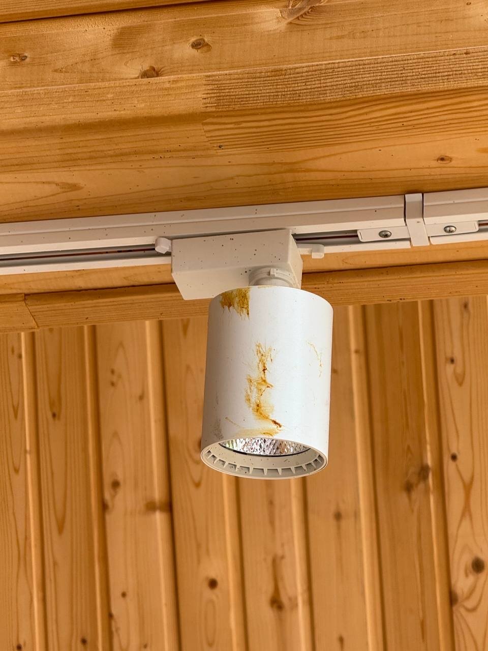 Фото Villa_Vanilla56