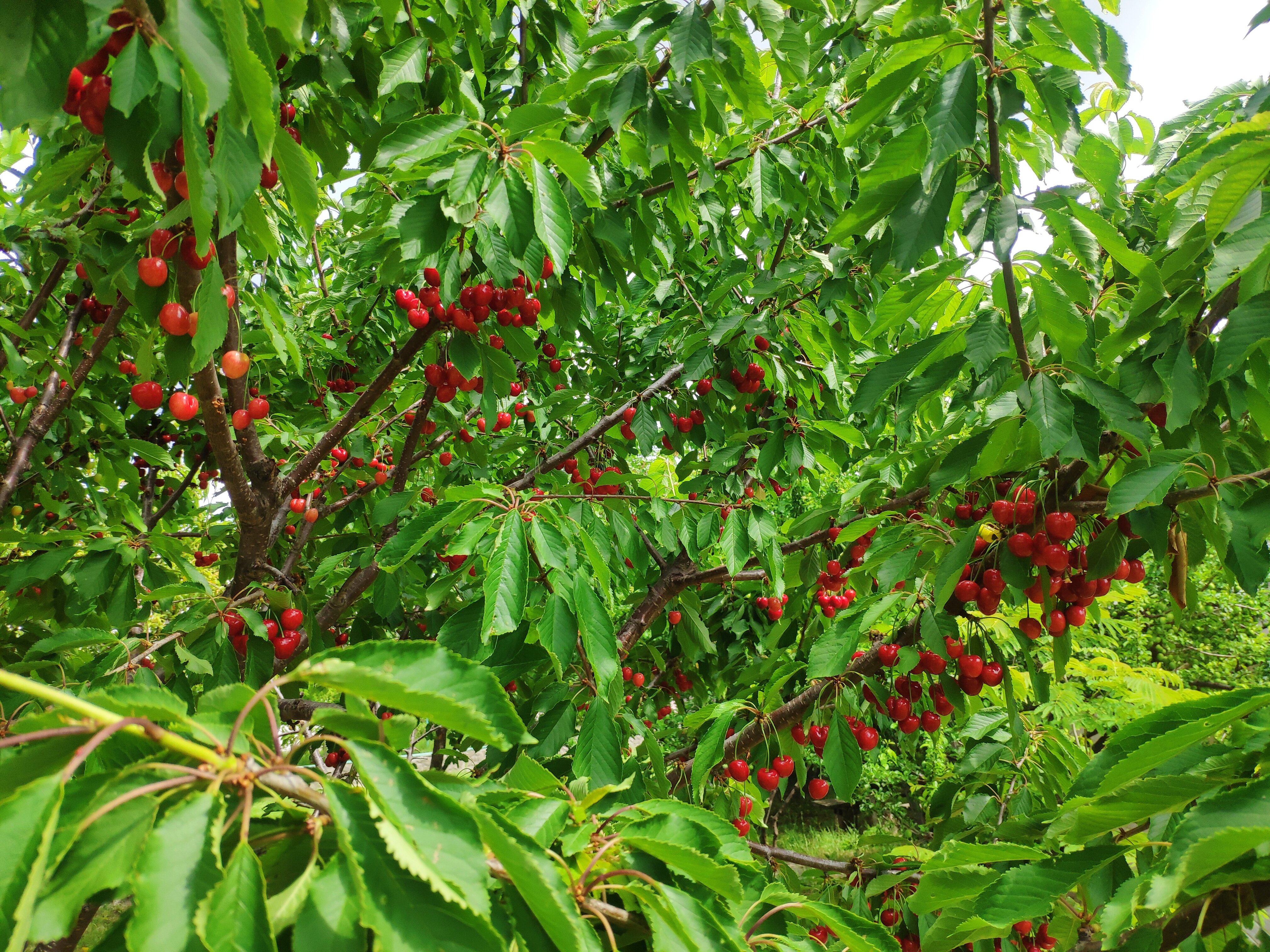 Фото Усадьба Отрада