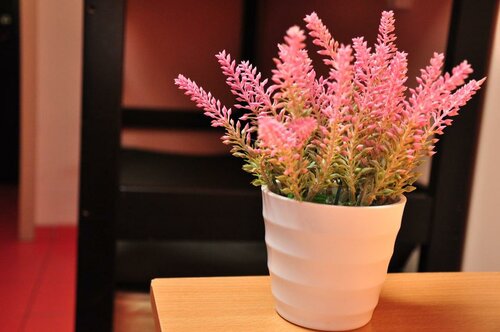 Хостел Вежливый Лось на Ботаническом саду в Мытищах