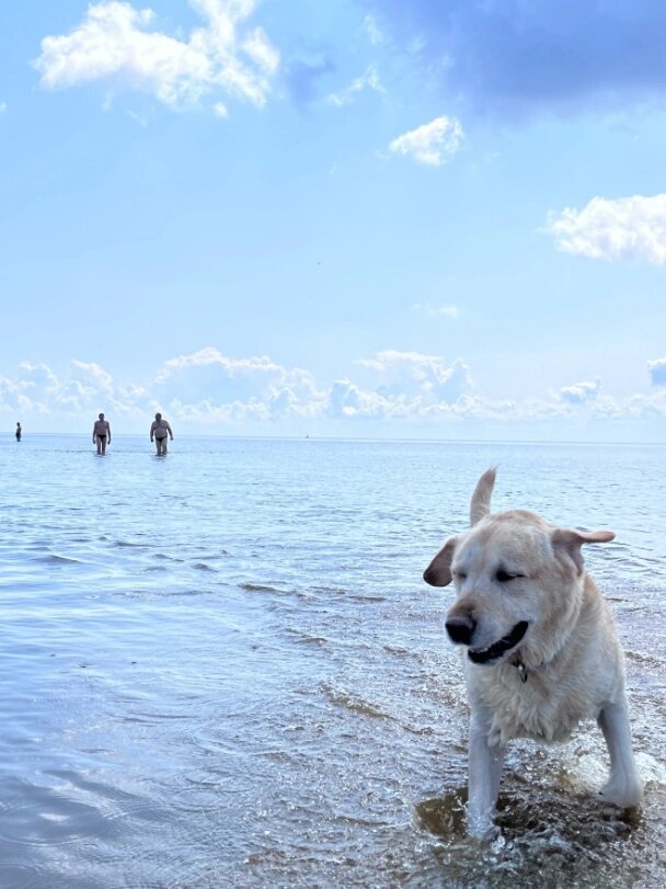 Фото Просто Квашино