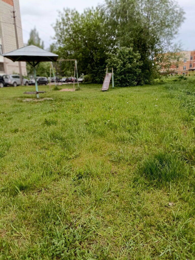 Playground Playground, Pskov, photo