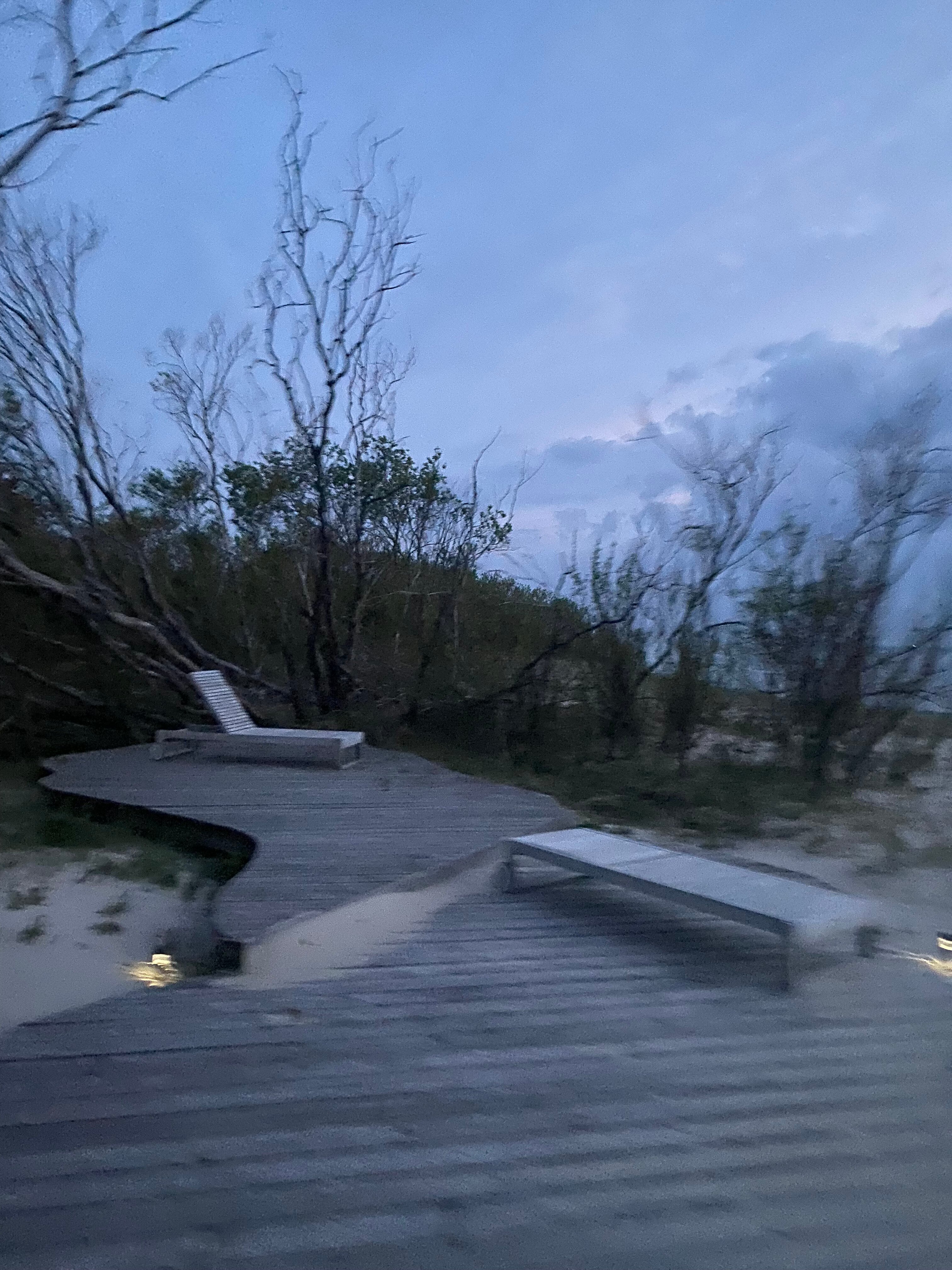 Фото Ecolodge Zen