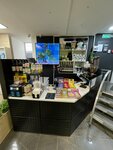 Budini Coffee (Moskovskiy Avenue, 20), coffee shop