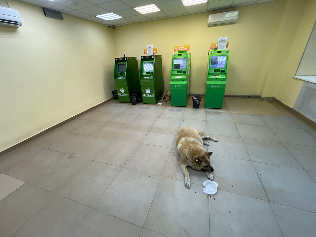 Payment terminal СберБанк, Serpuhov, photo