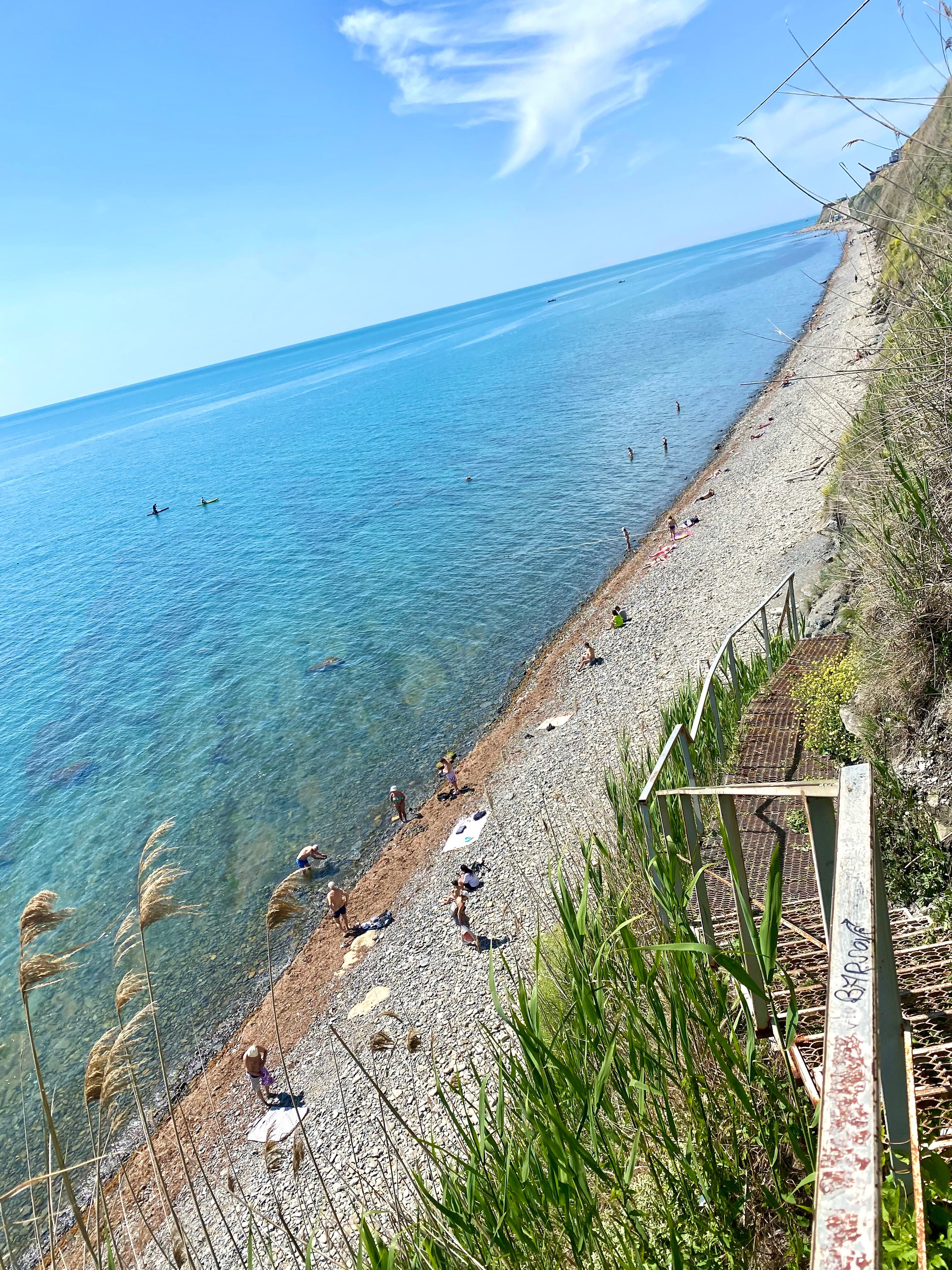 Фото Виколь