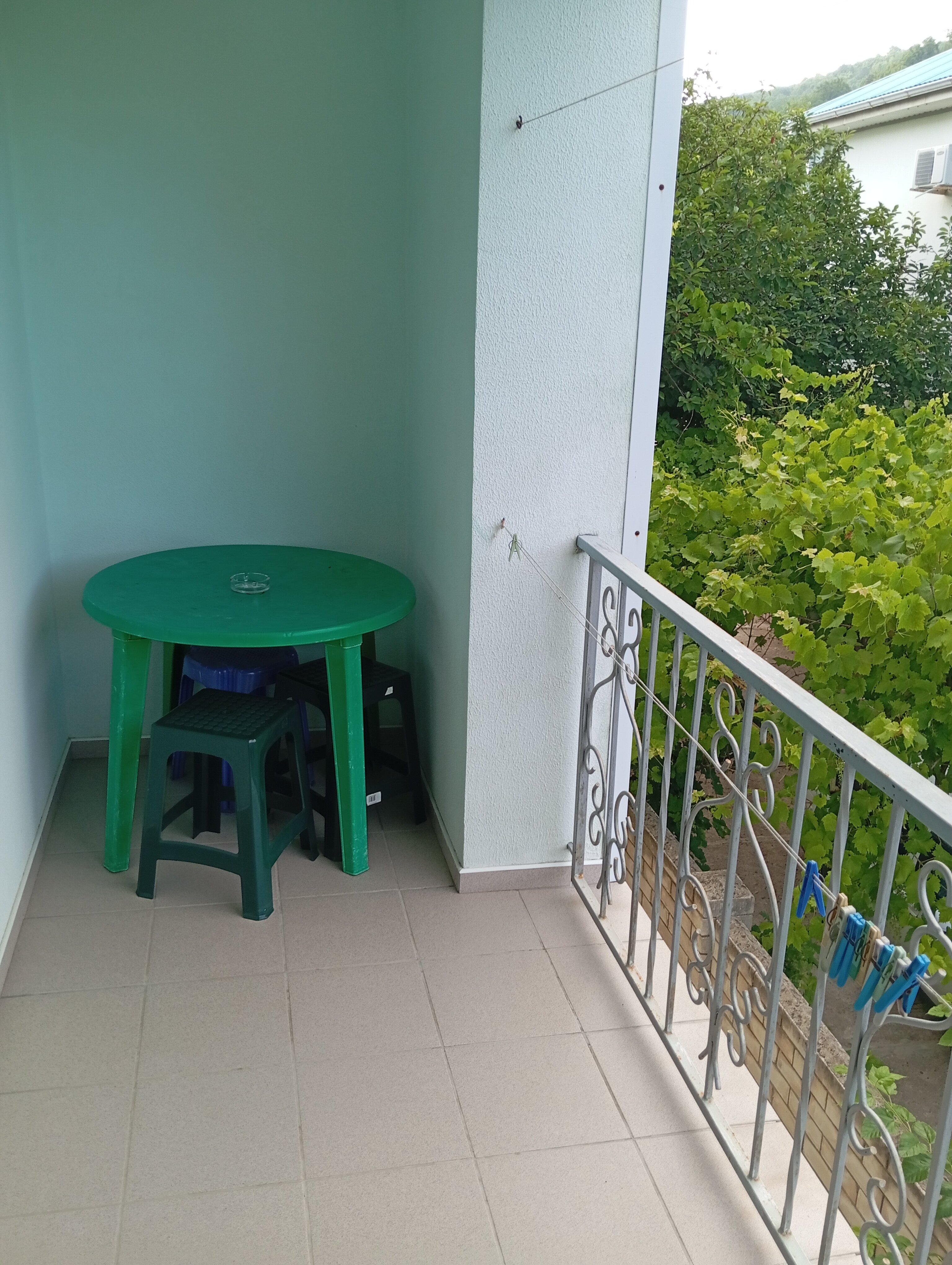 Фото Серебристая Чайка