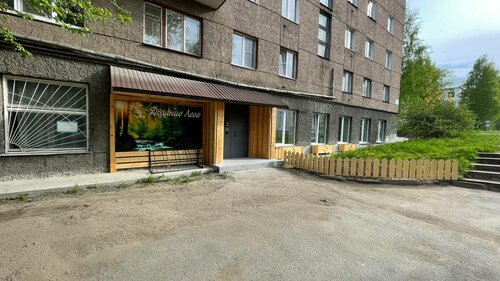 Иное жильё Дыхание леса в Карелии