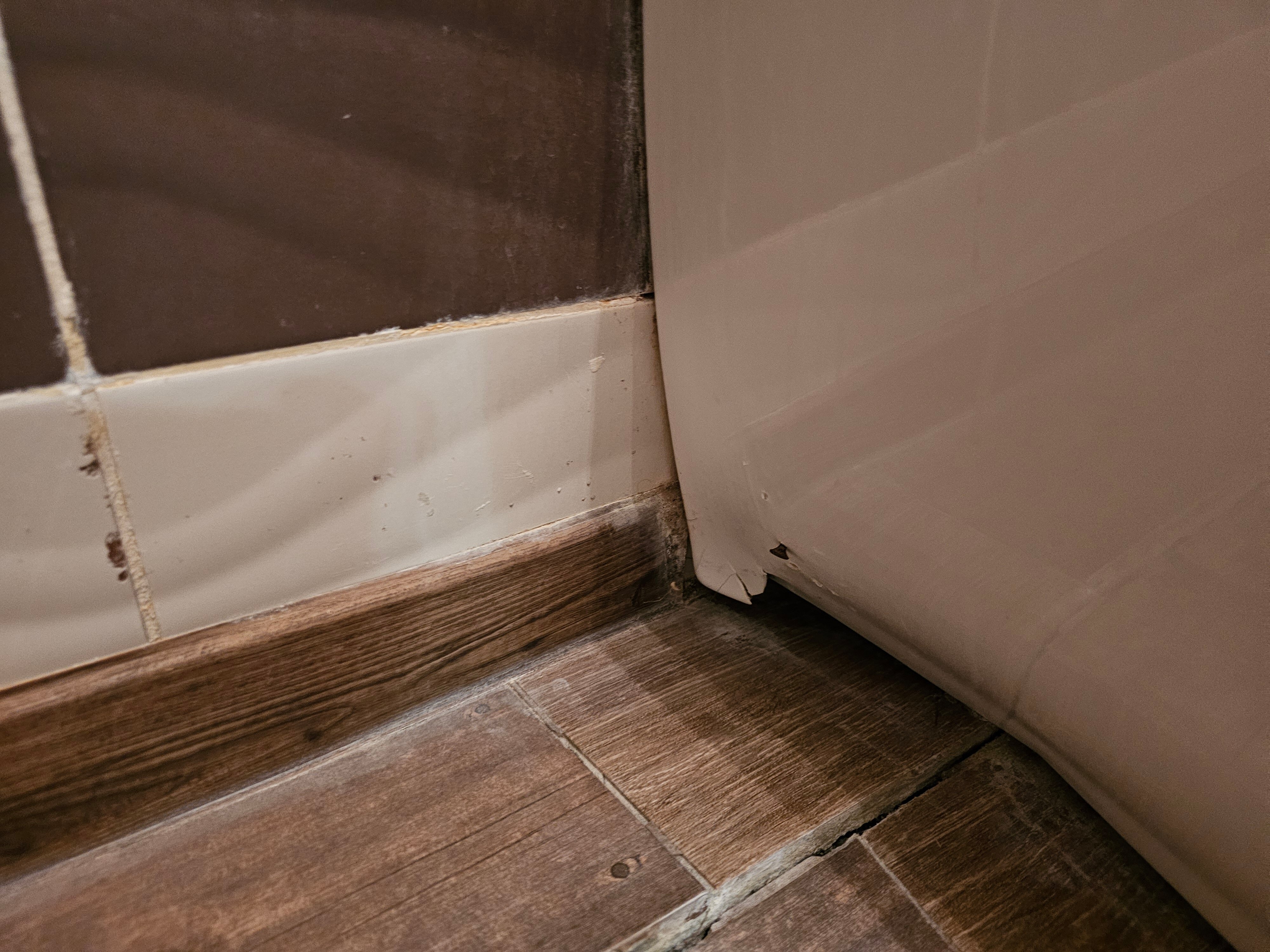 Фото Орхид Апартментс Зеленоградск