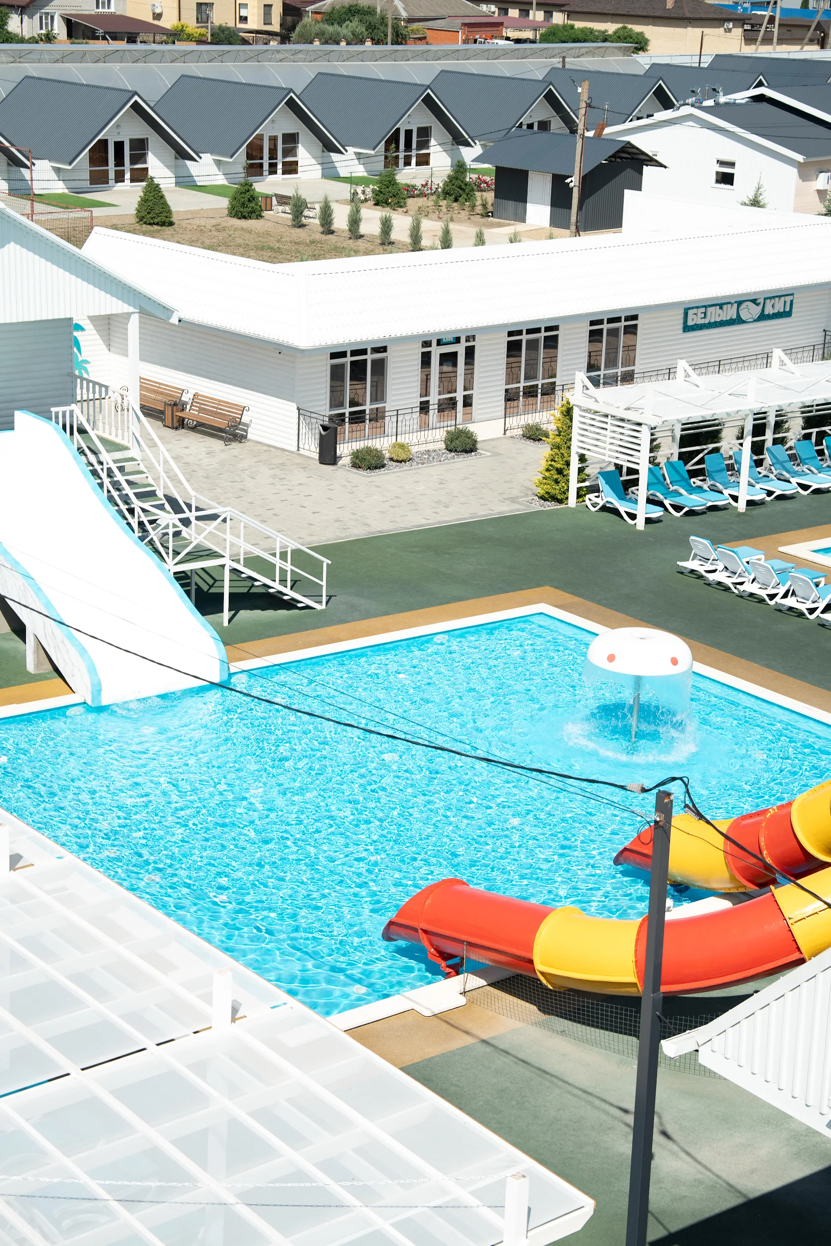 Фото Белый кит