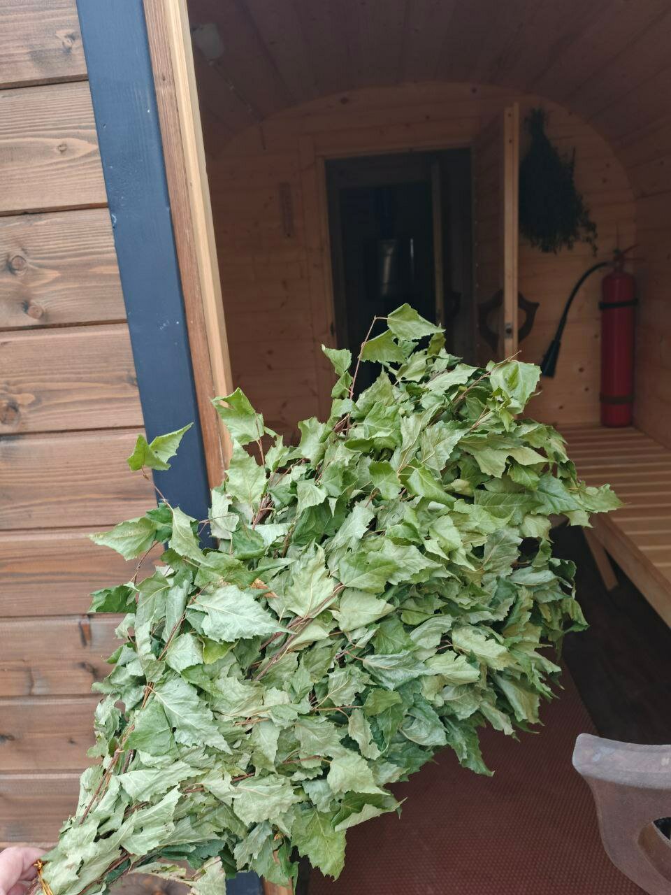 Фото Стрела