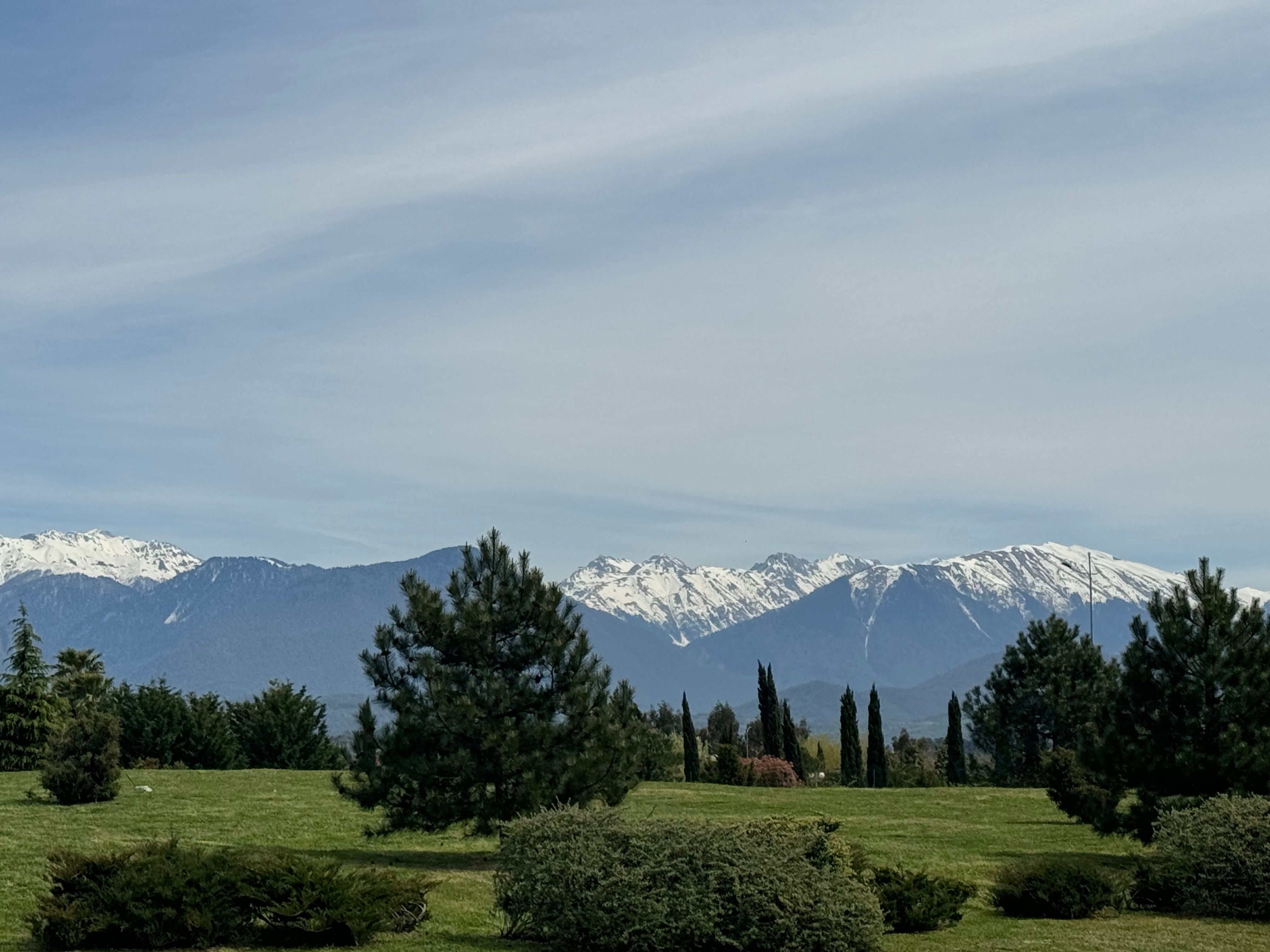 Фото Морент