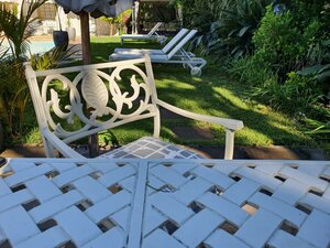 Гостиница Wild Olive Guest House