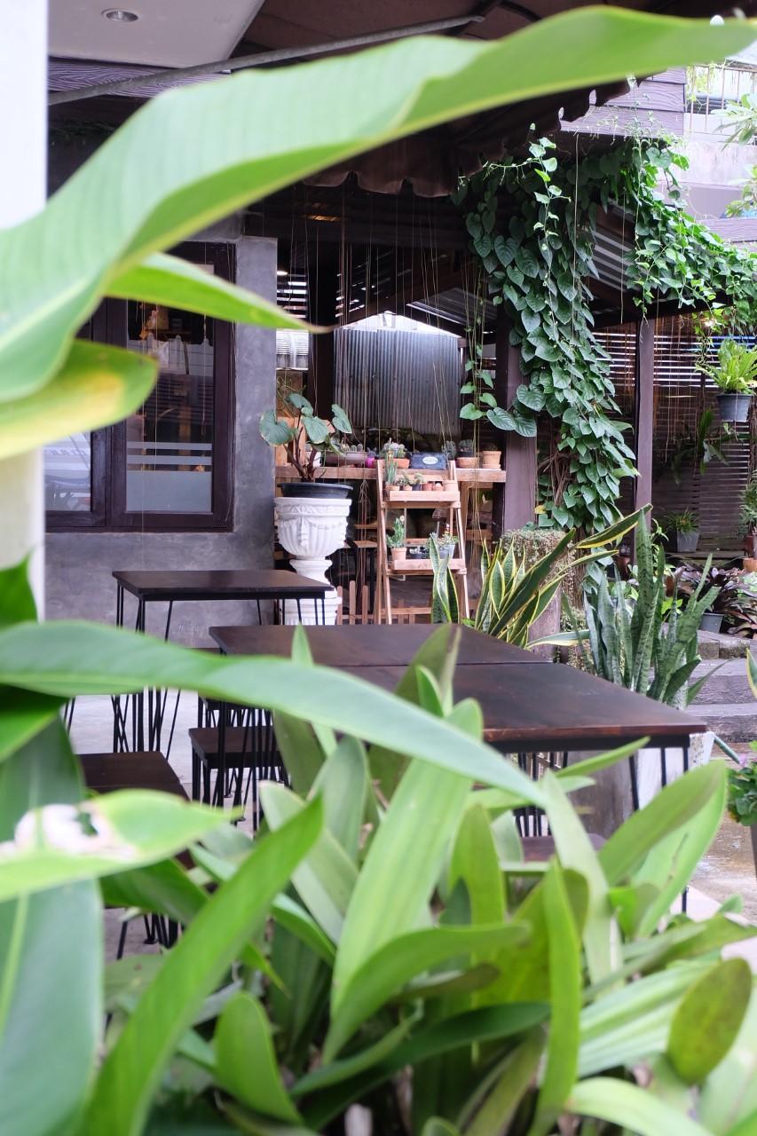 Фото I-House Chiangrai