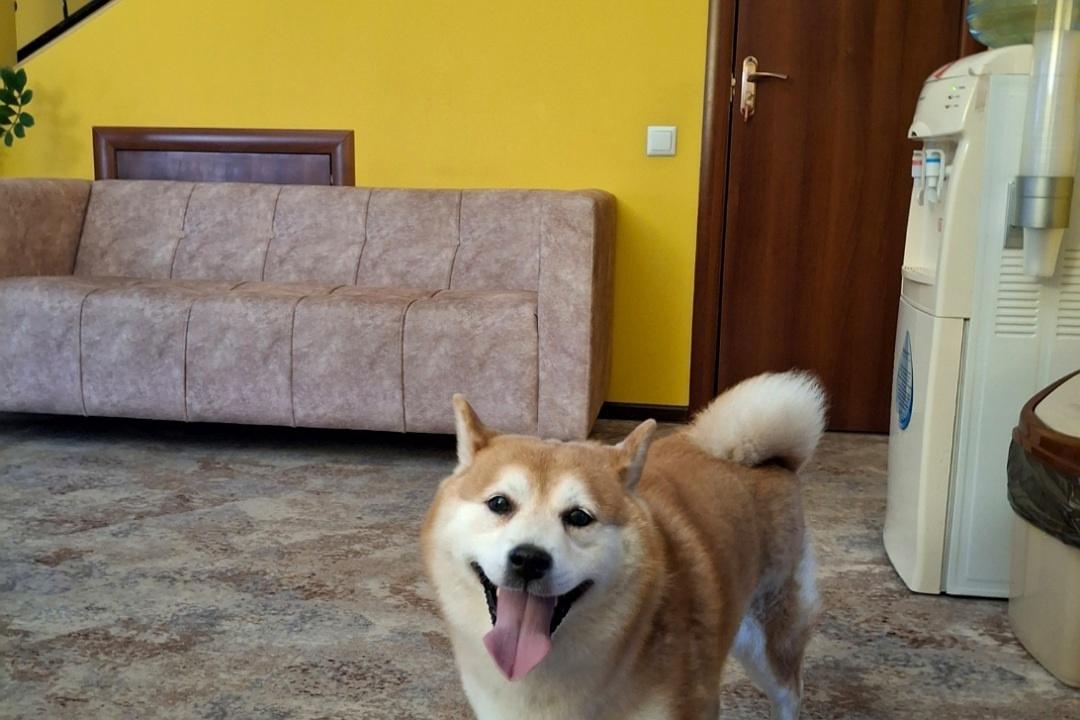 Фото Бумеранг