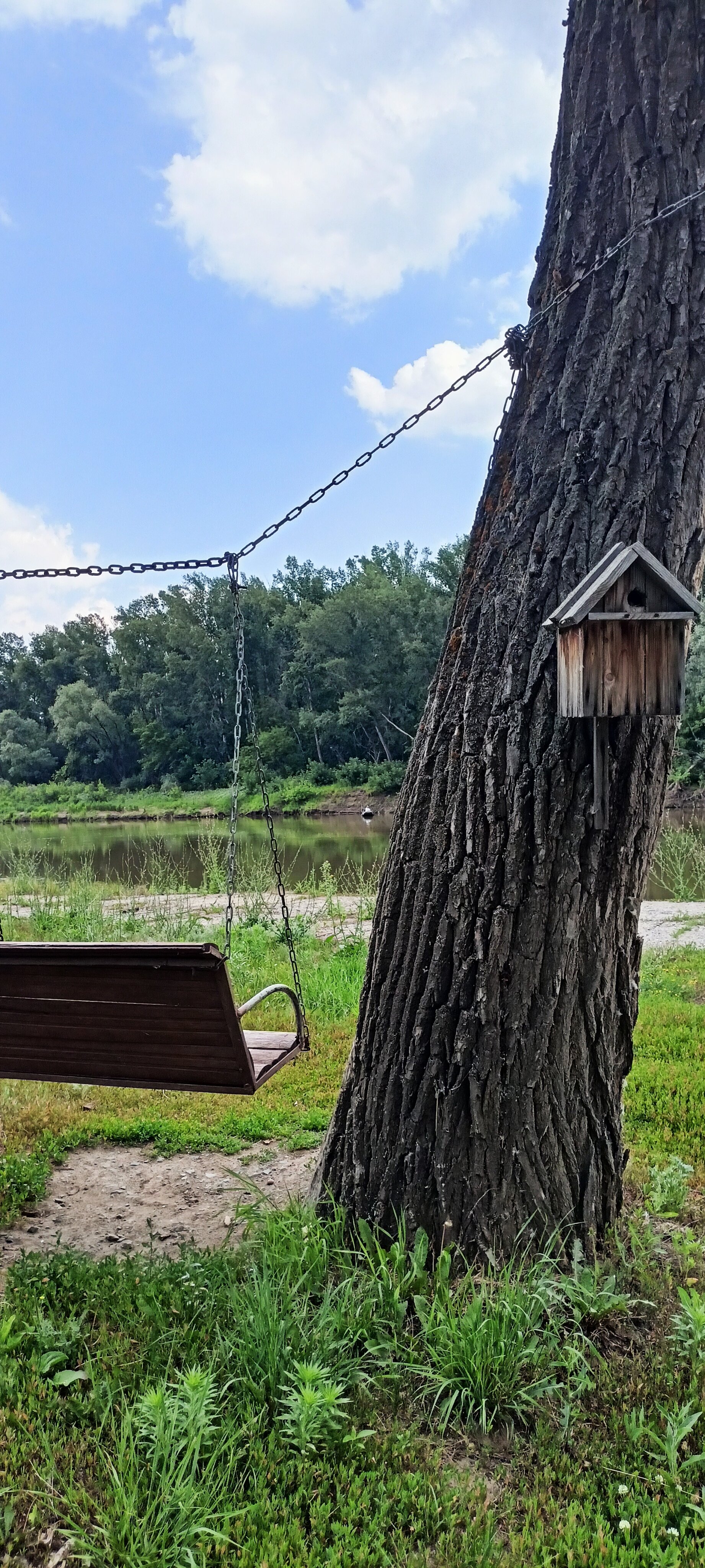 Фото Нежинка