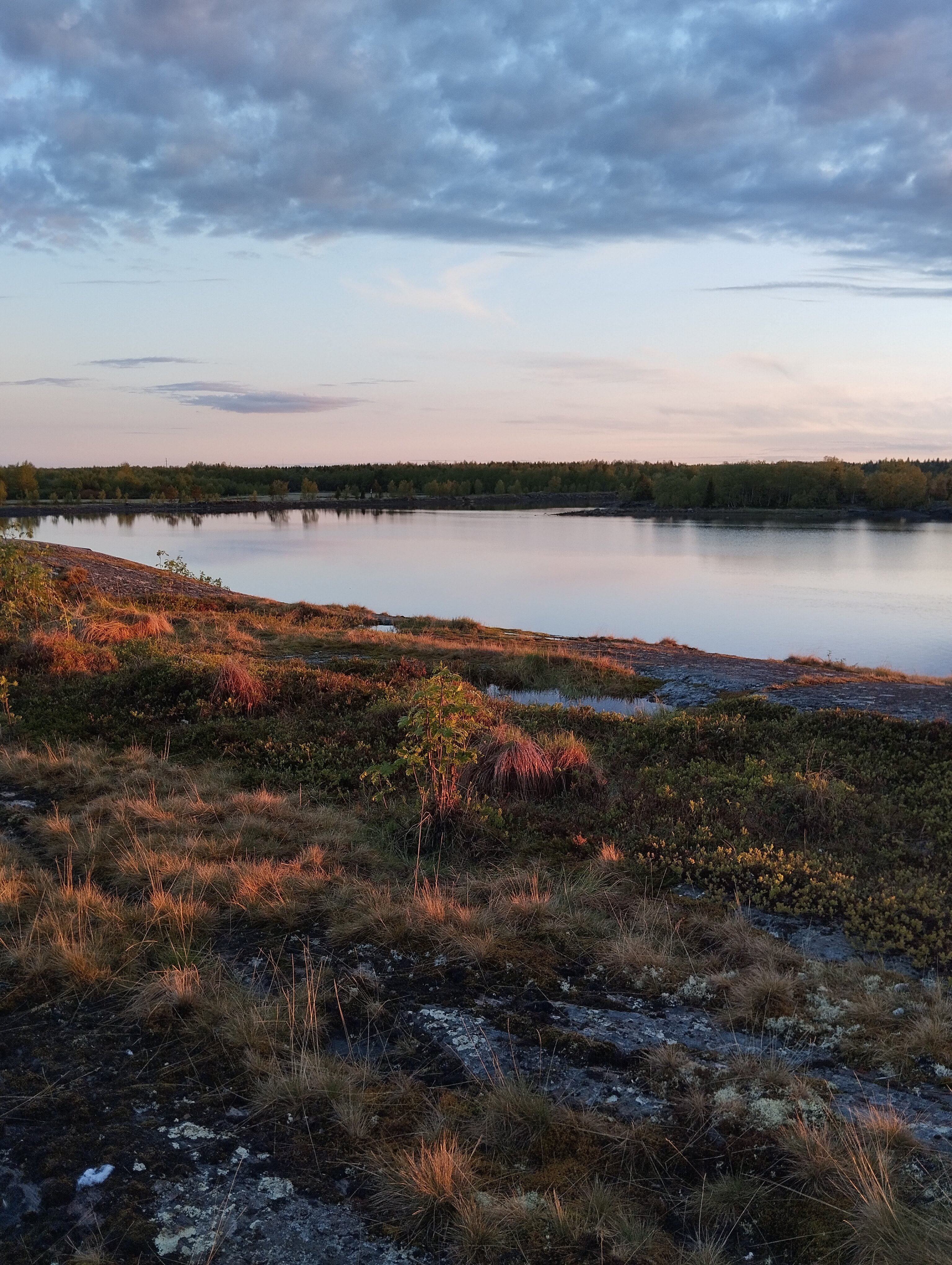 Фото Каса Мика