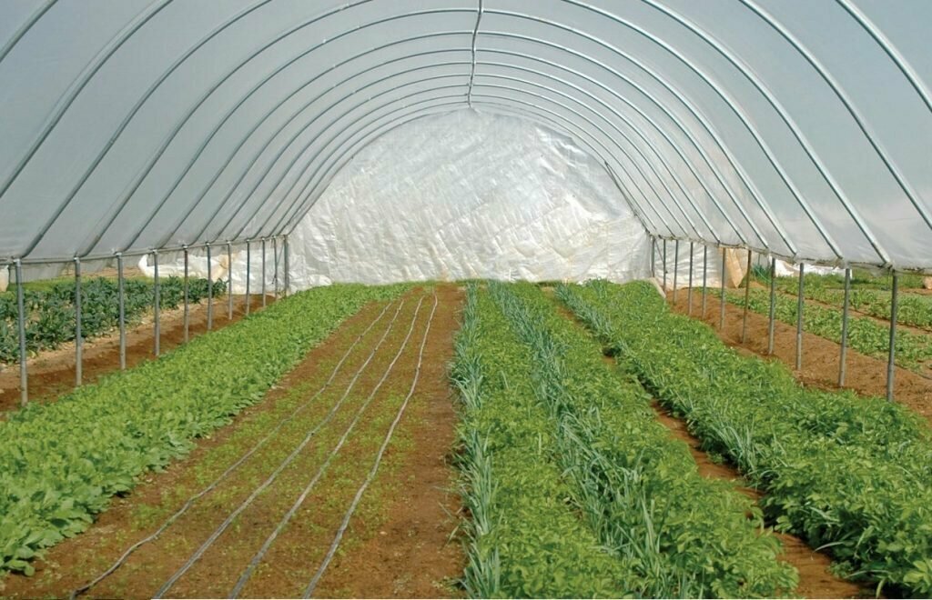 Greenhouse equipment Sera Sulama Sistemleri, Ankara, photo