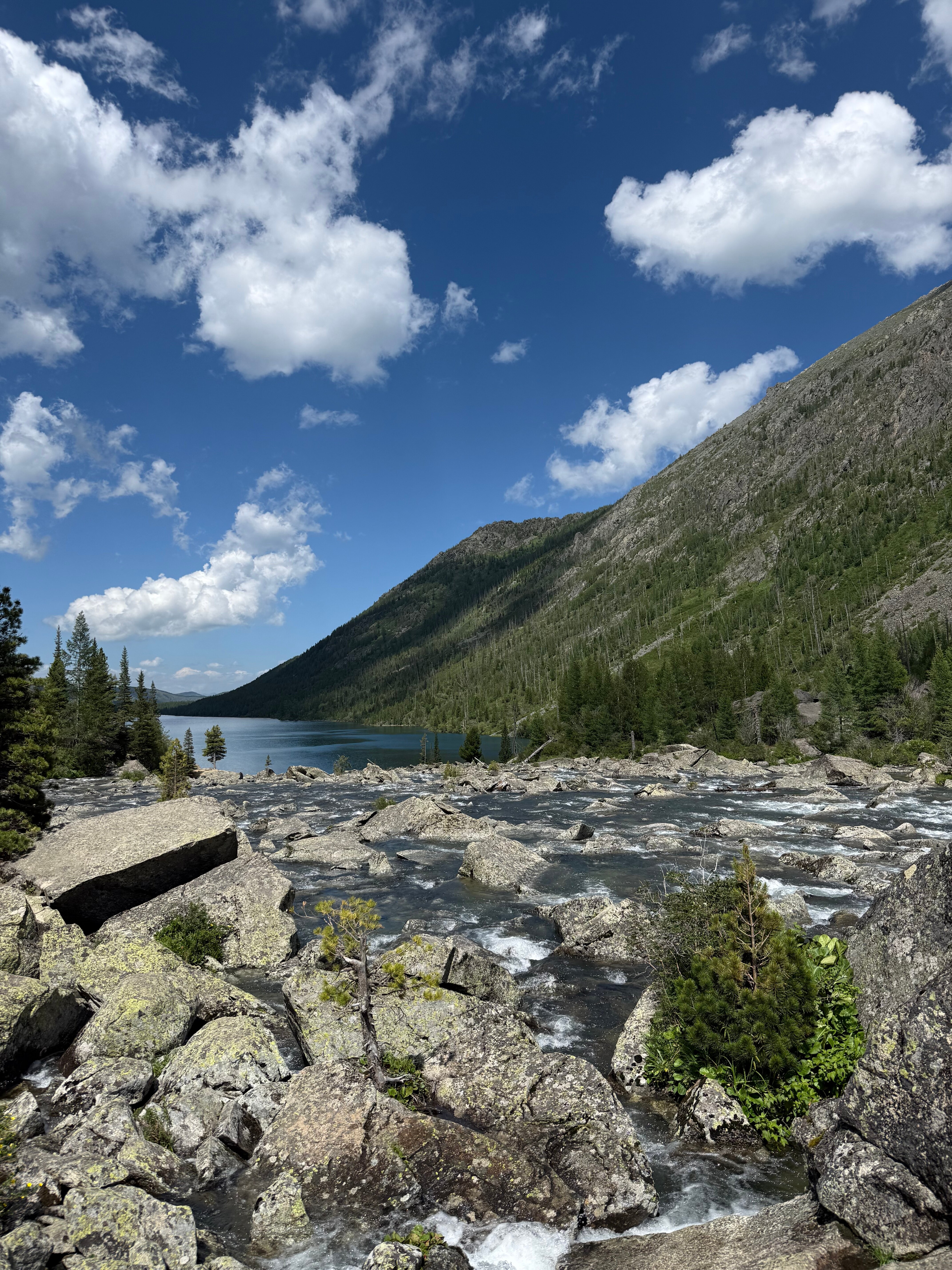 Фото Алтай-Долина