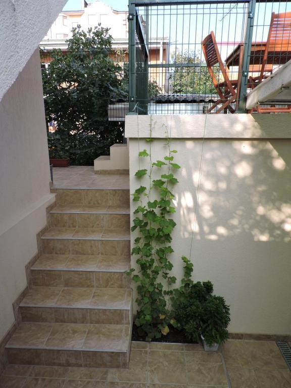 Фото Гостевой дом на Куйбышева