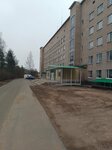 Пестовская центральная районная больница (Kurgannaya ulitsa, 18к1) ، مستشفى