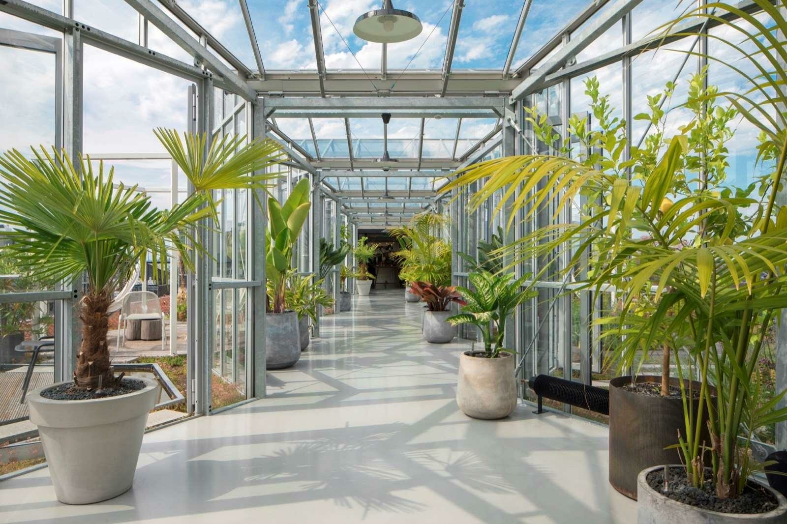 Фото Zoku Amsterdam