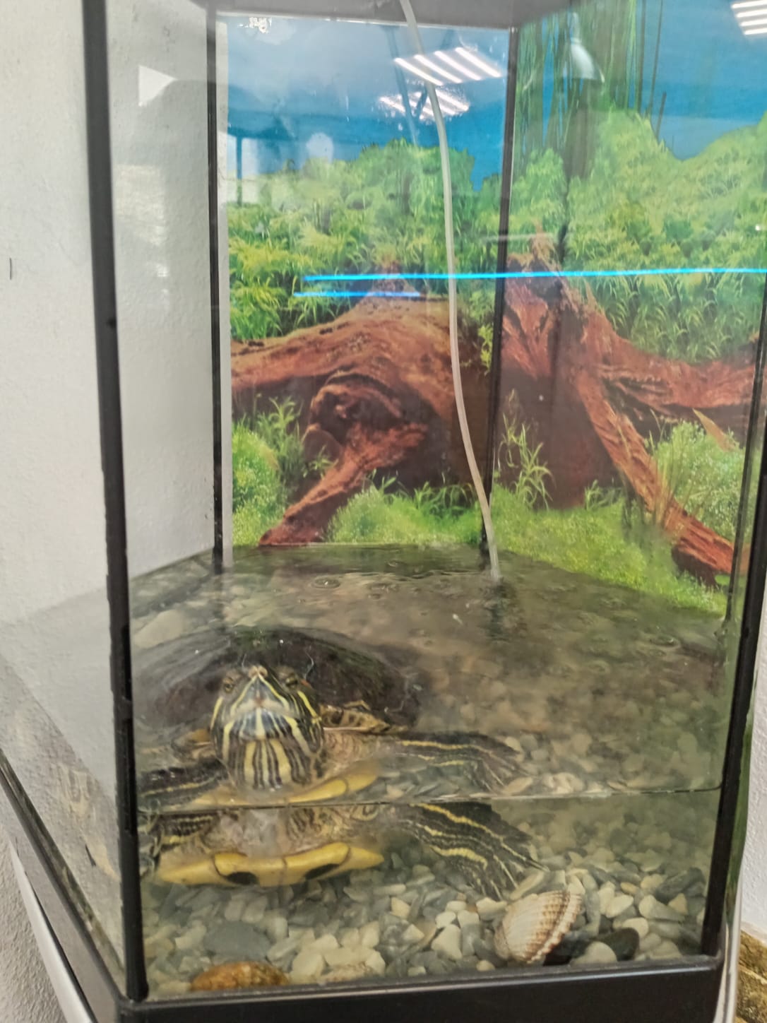 Фото Атмосфера