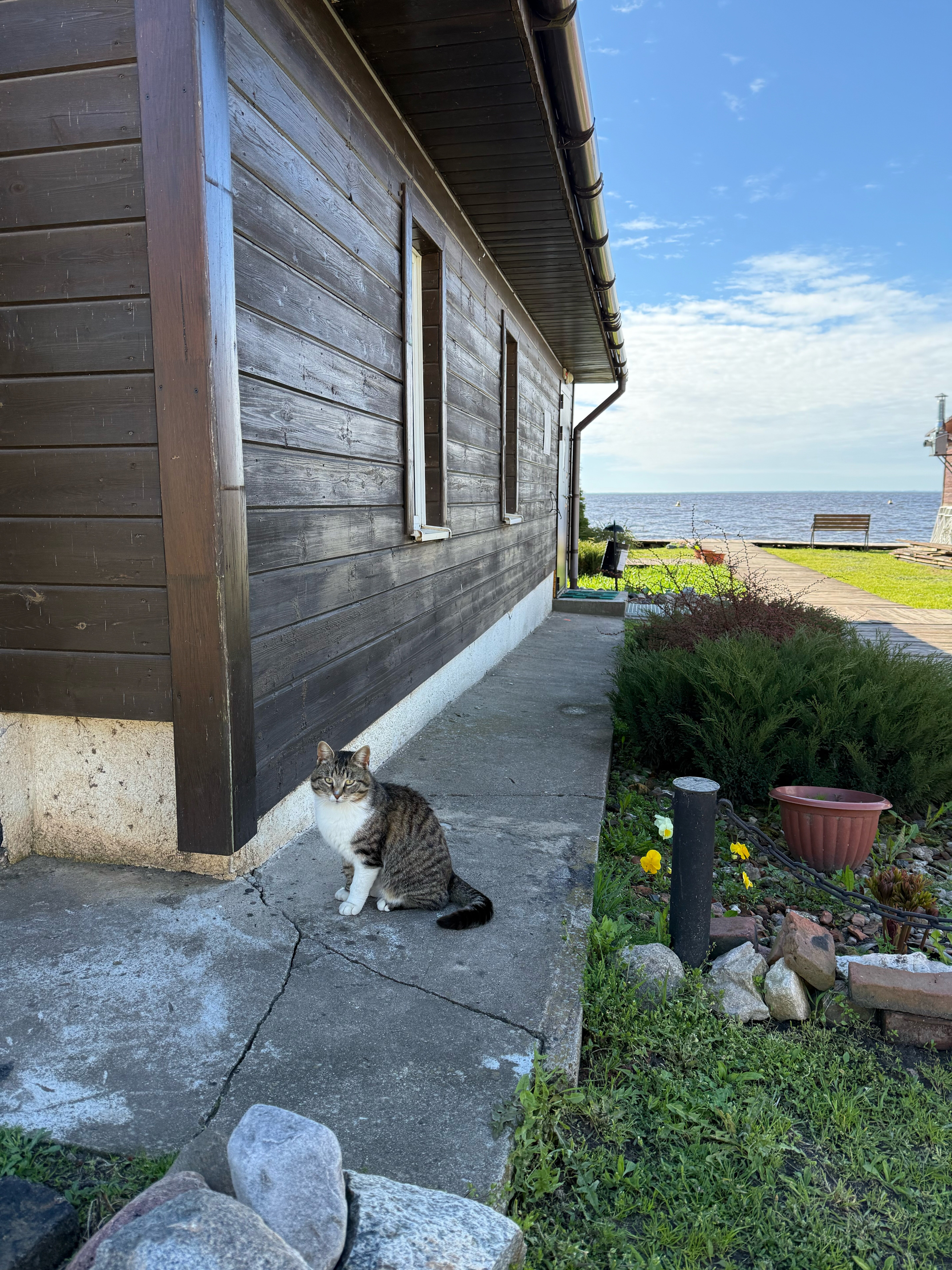 Фото Тихая гавань