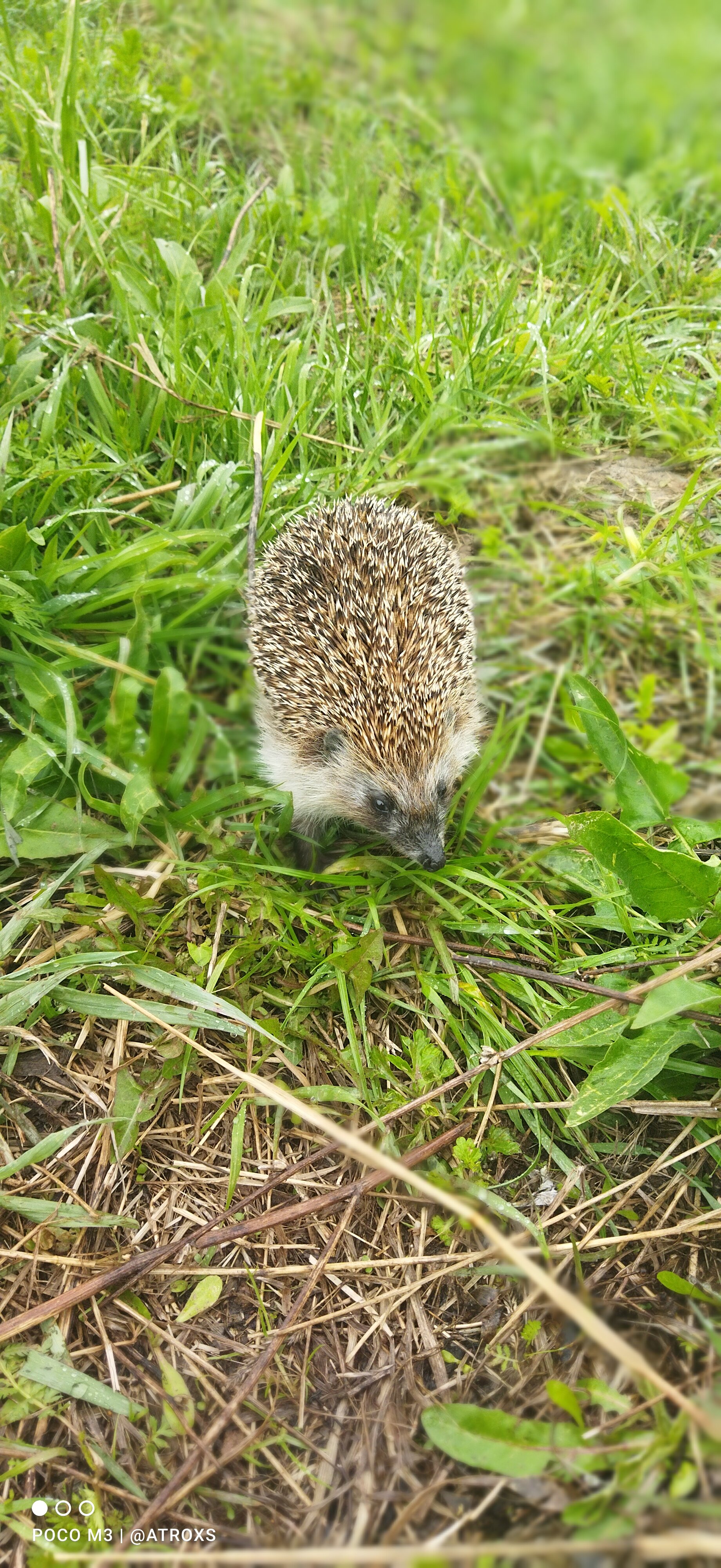 Фото Mari Holiday Village