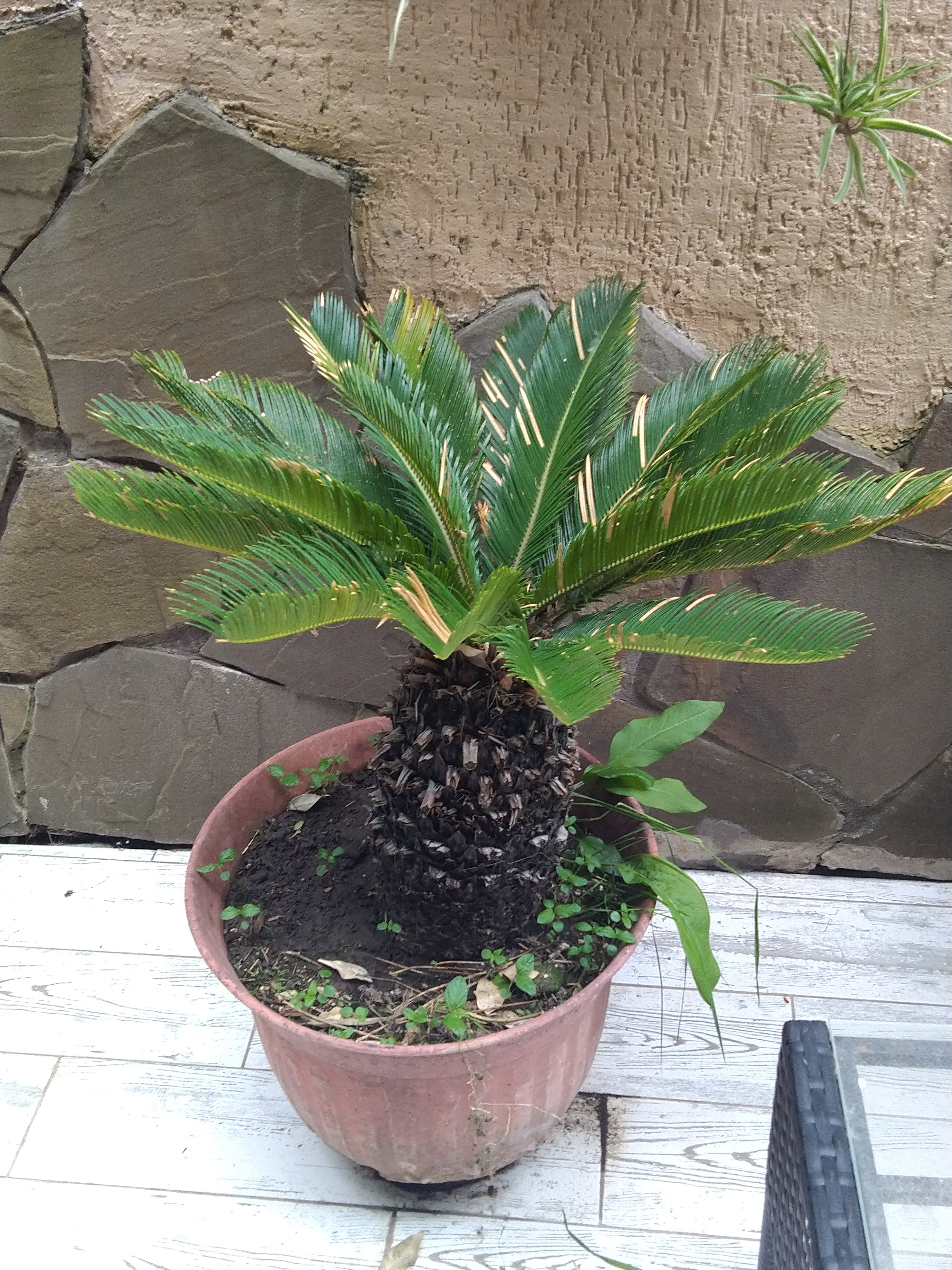 Фото Тенистый Берег