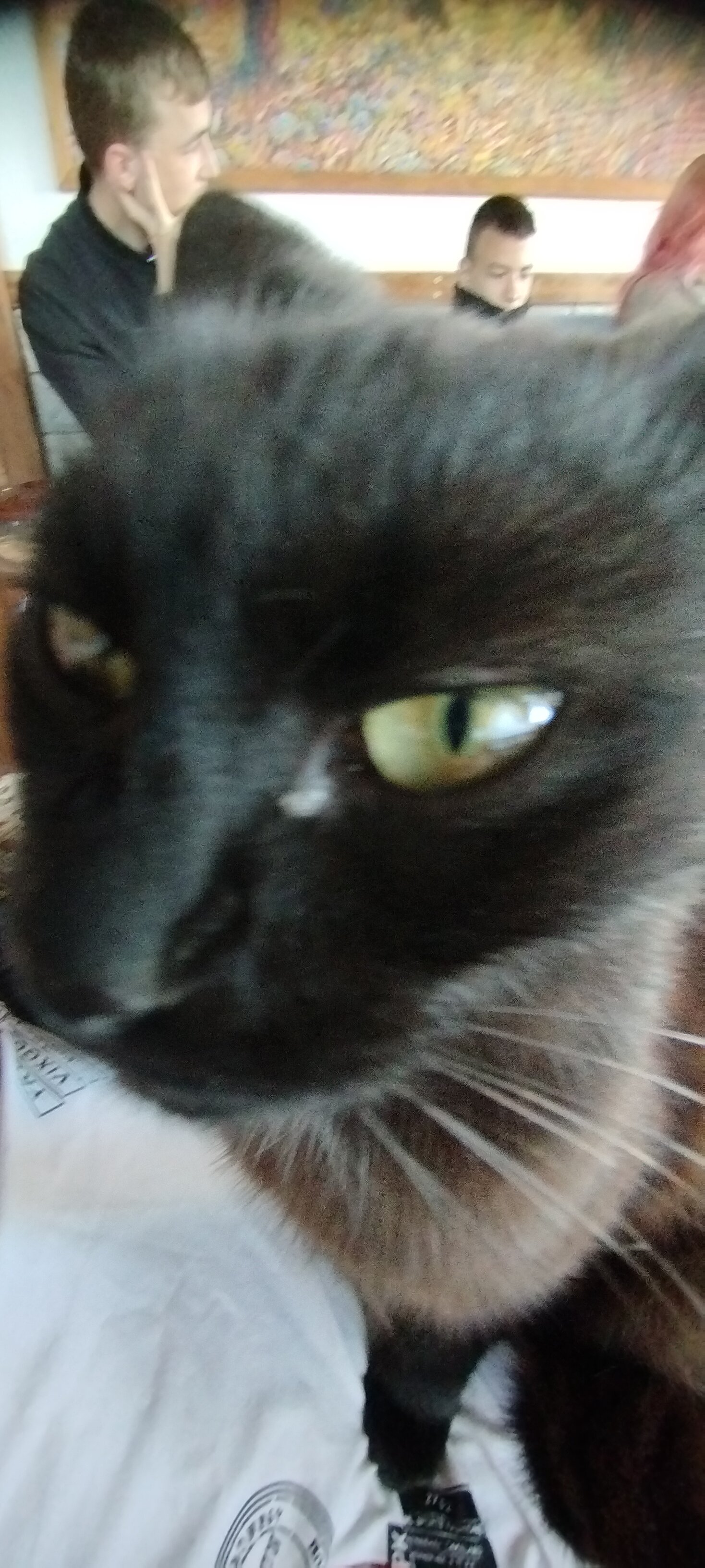 Фото Горный