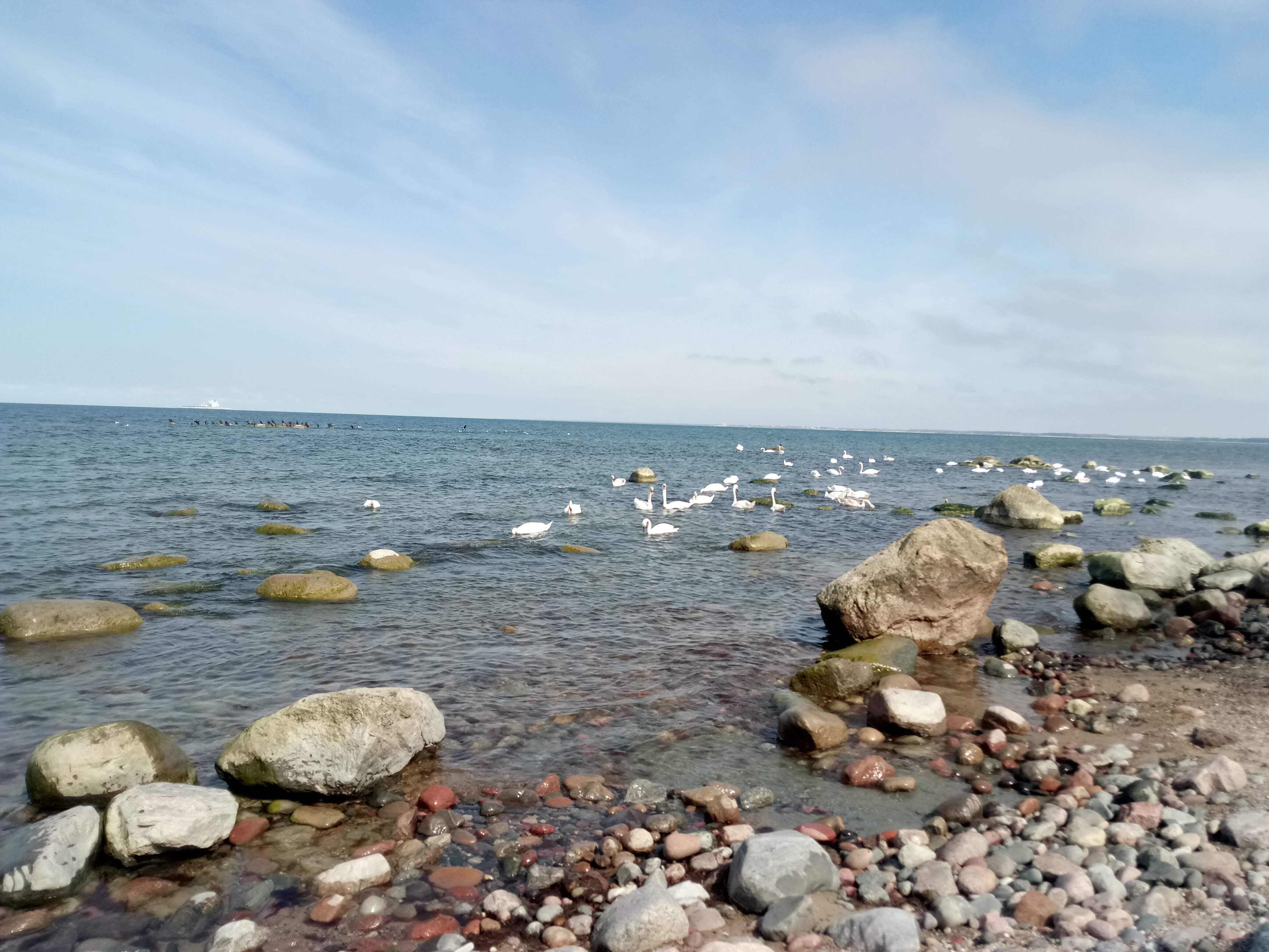 Фото Дача у моря