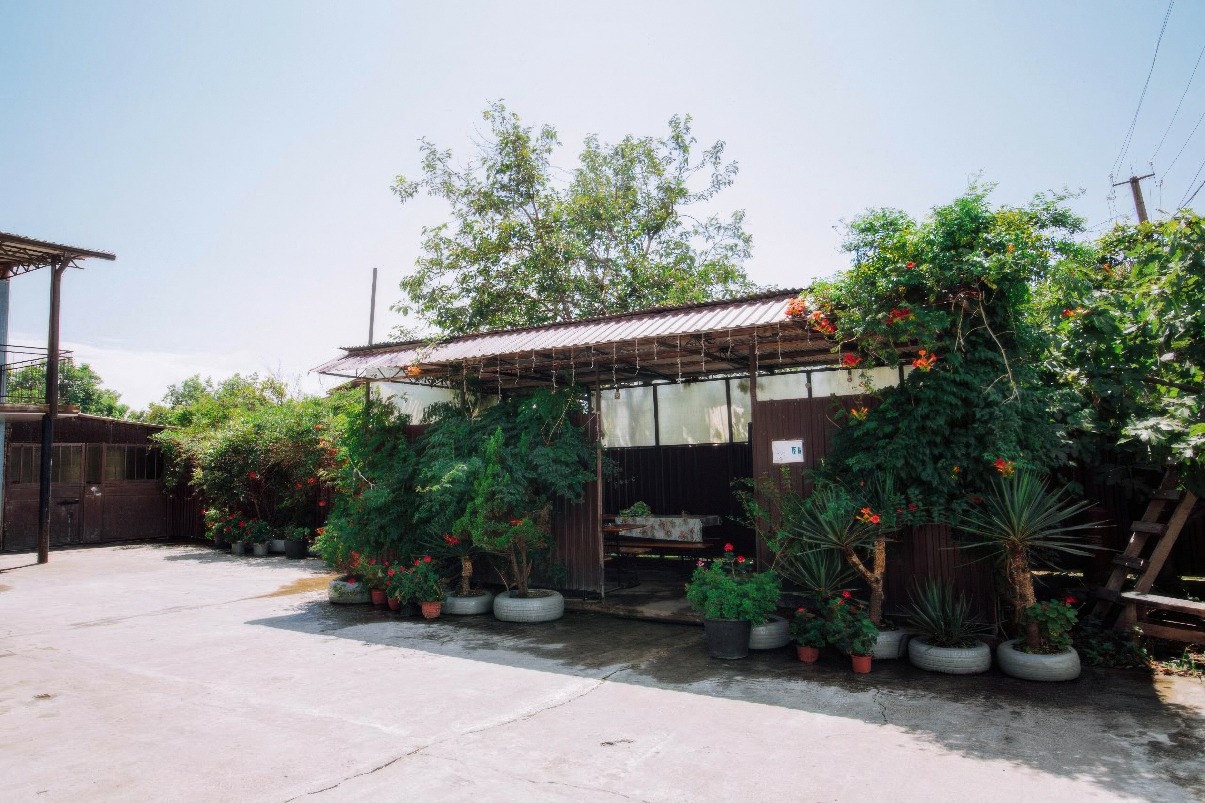 Фото У Артема