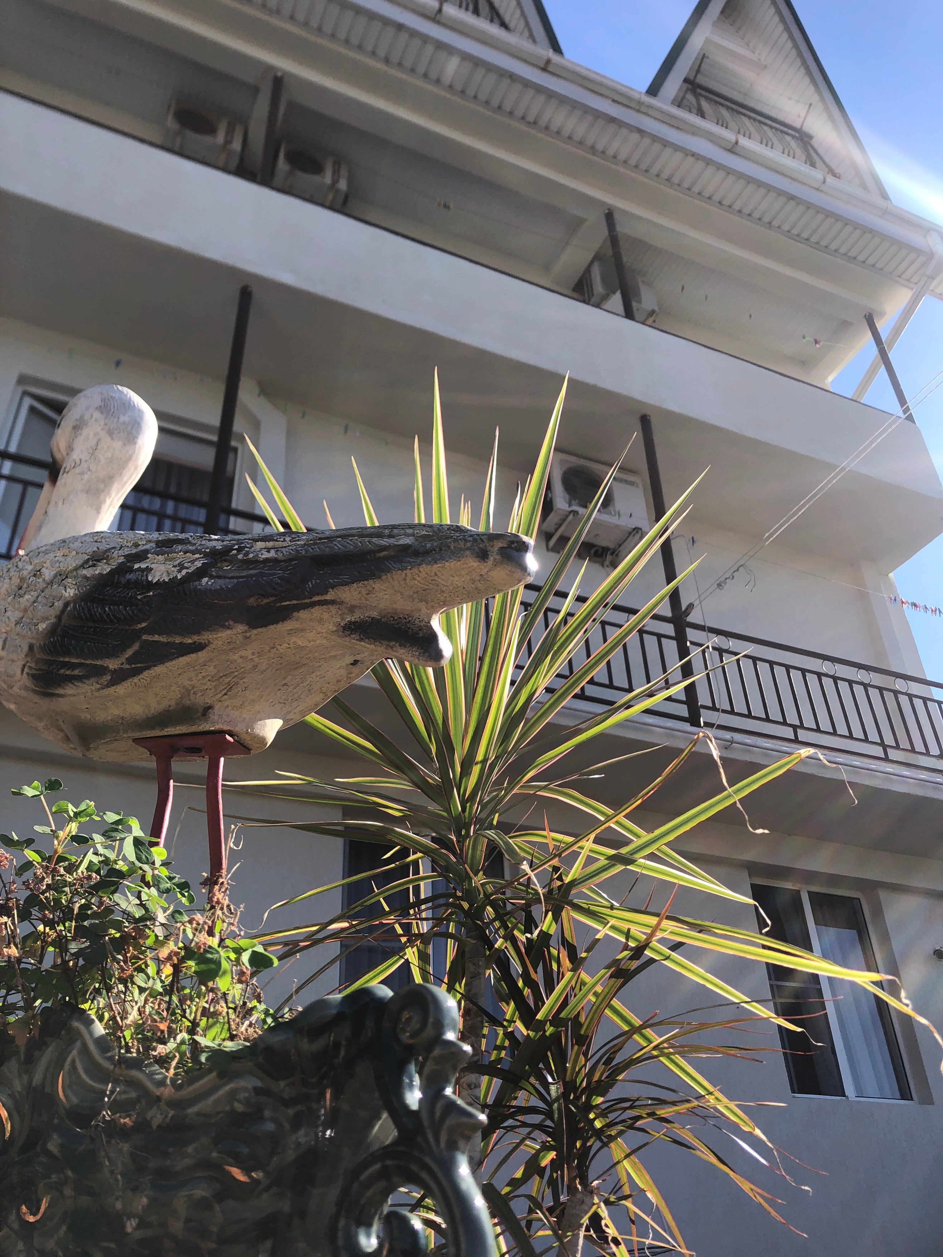 Фото Галина