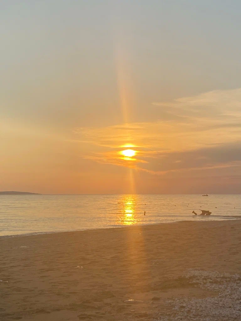 Фото Одиссей