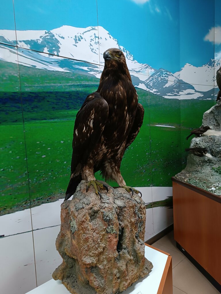 متحف State Museum of Nature of Armenia ، يريفان، صورة