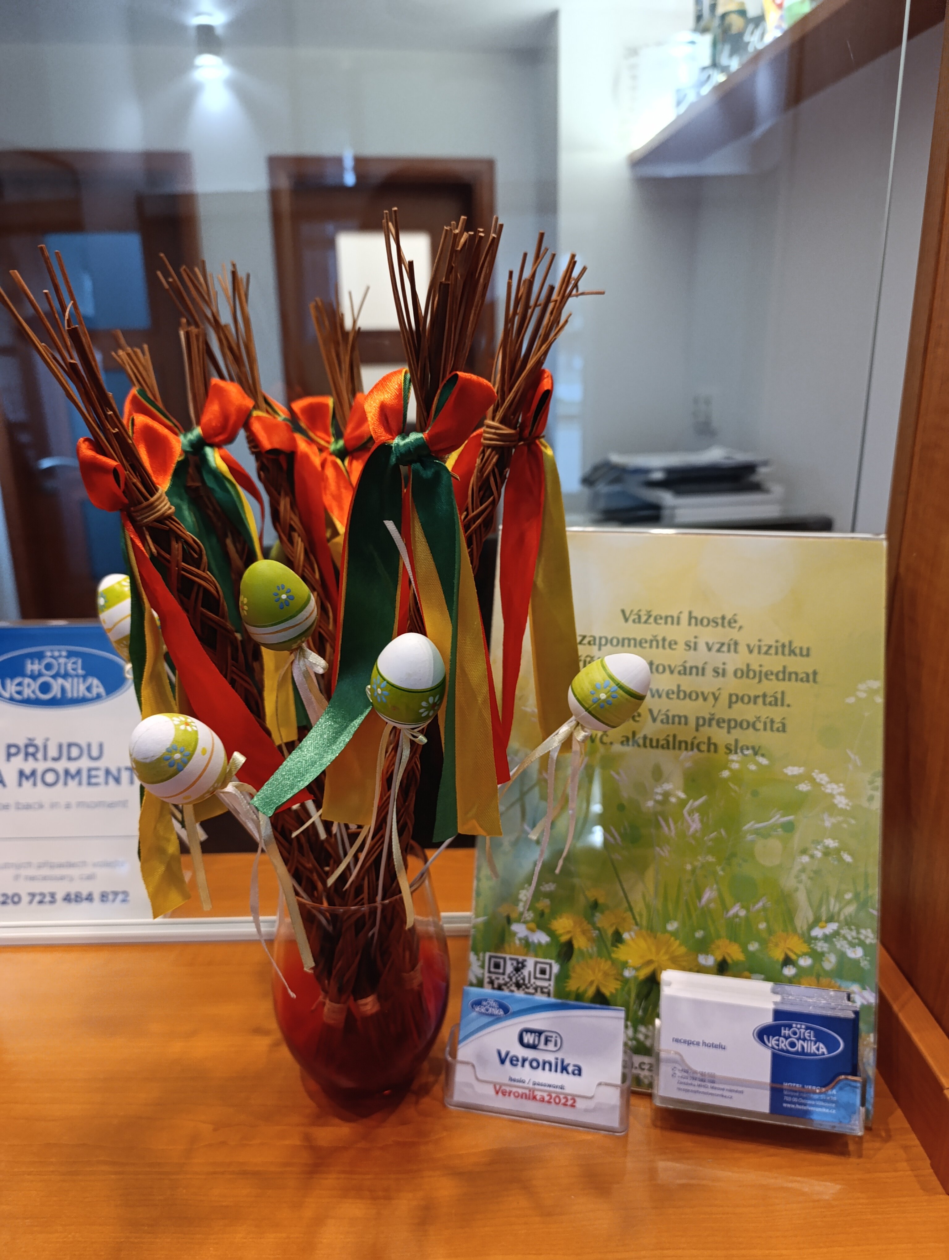 Фото Hotel Veronika