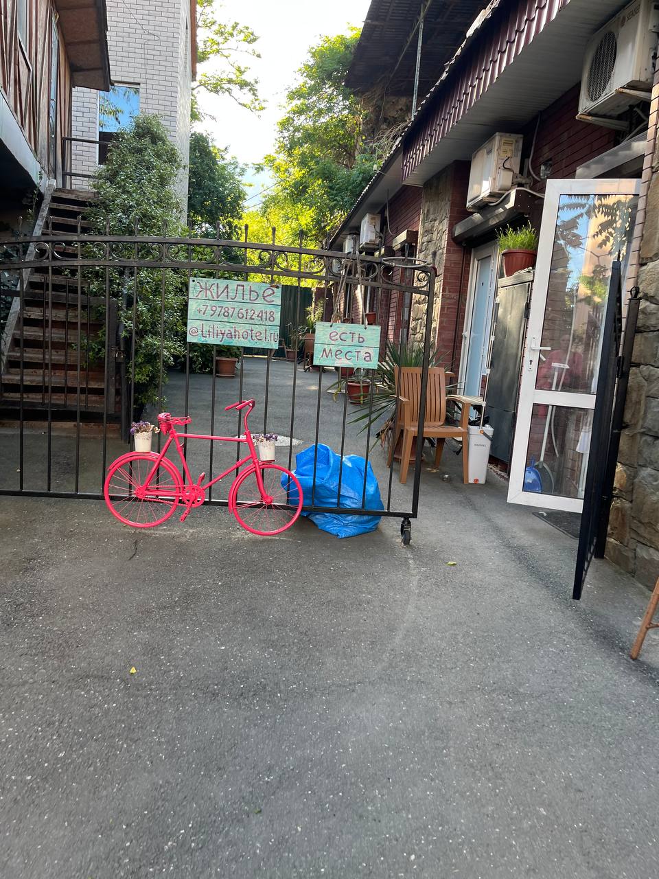 Фото Лилия-1