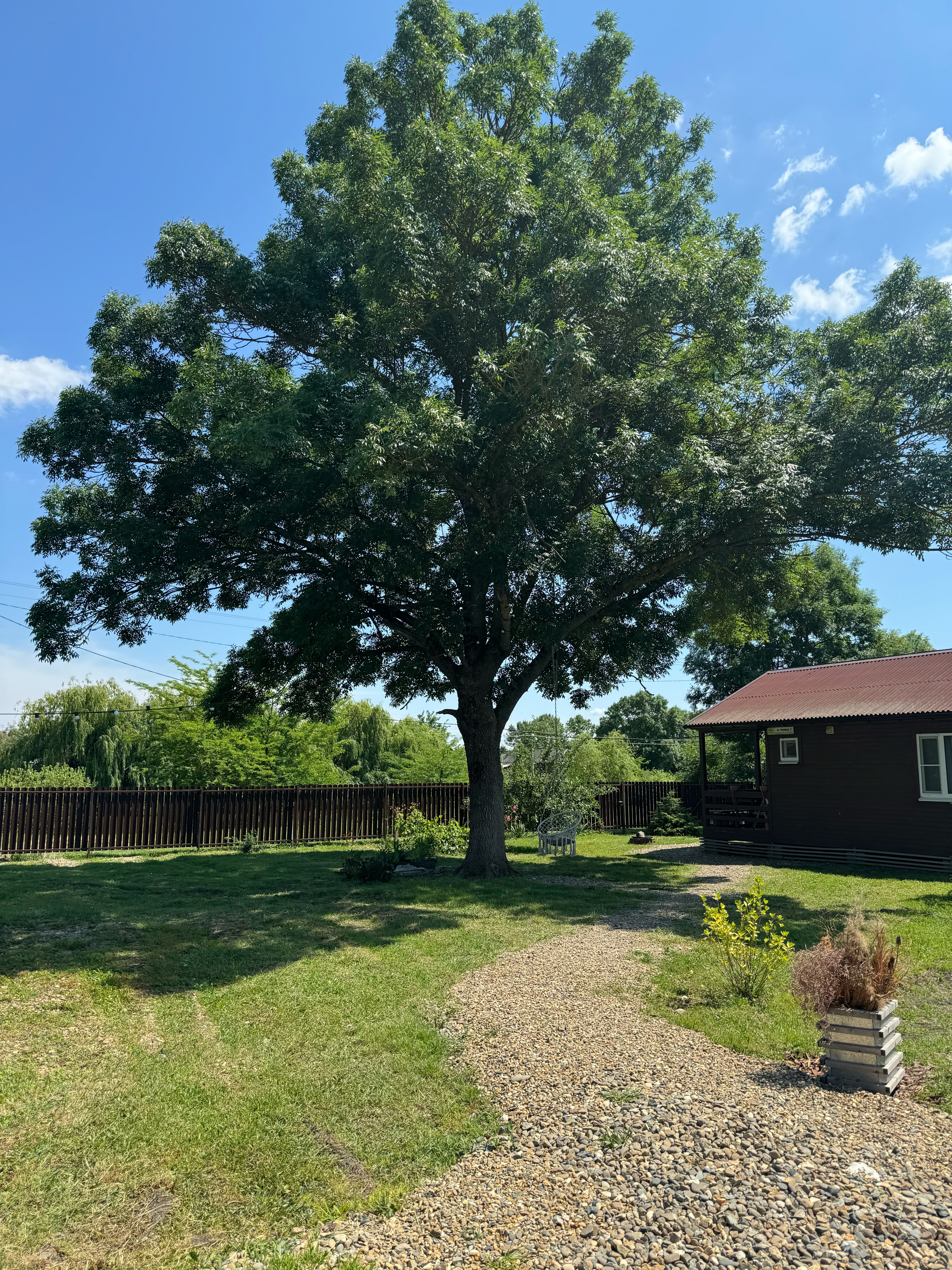 Фото Пруд Пруди