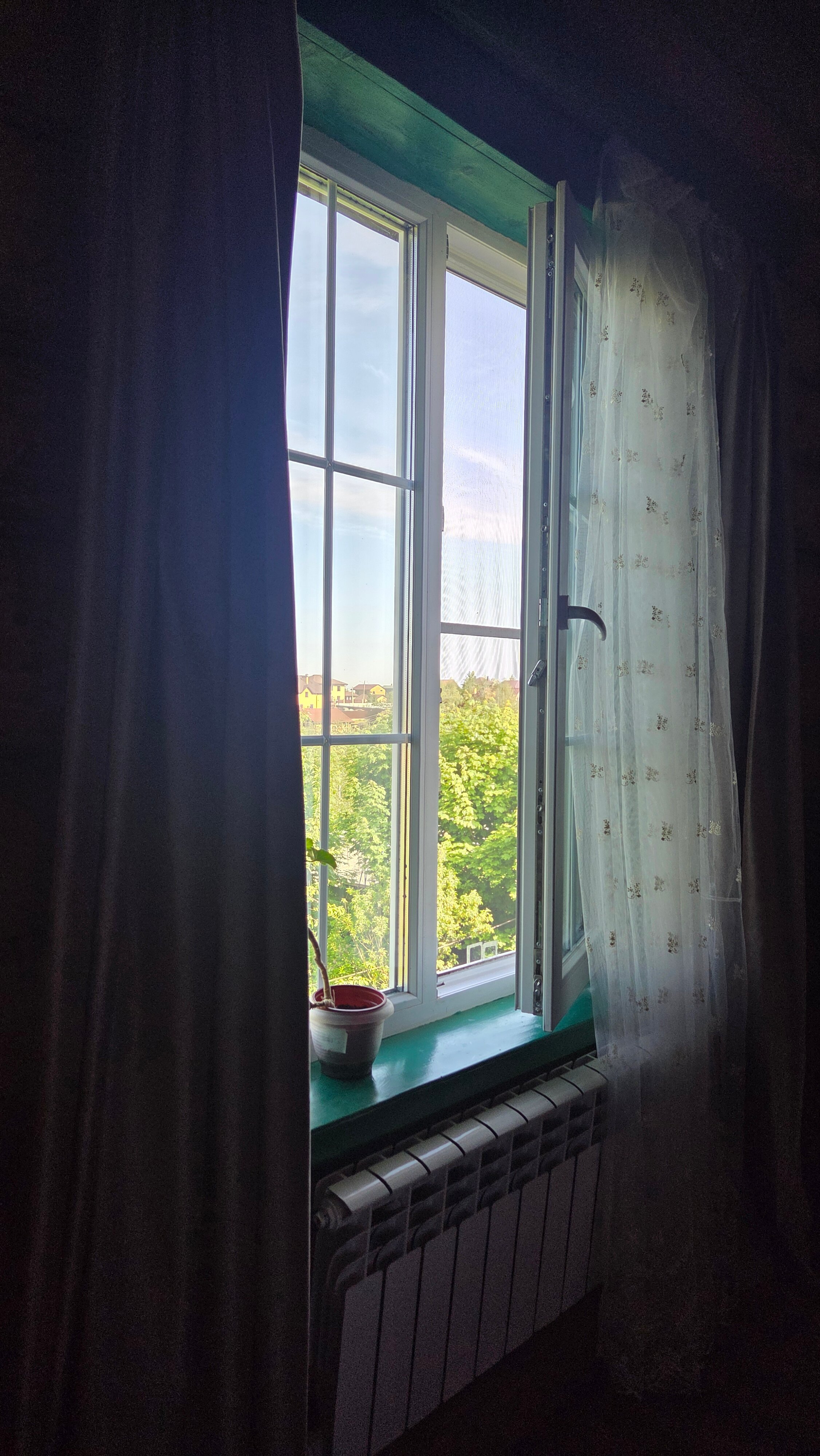 Фото Four seasons