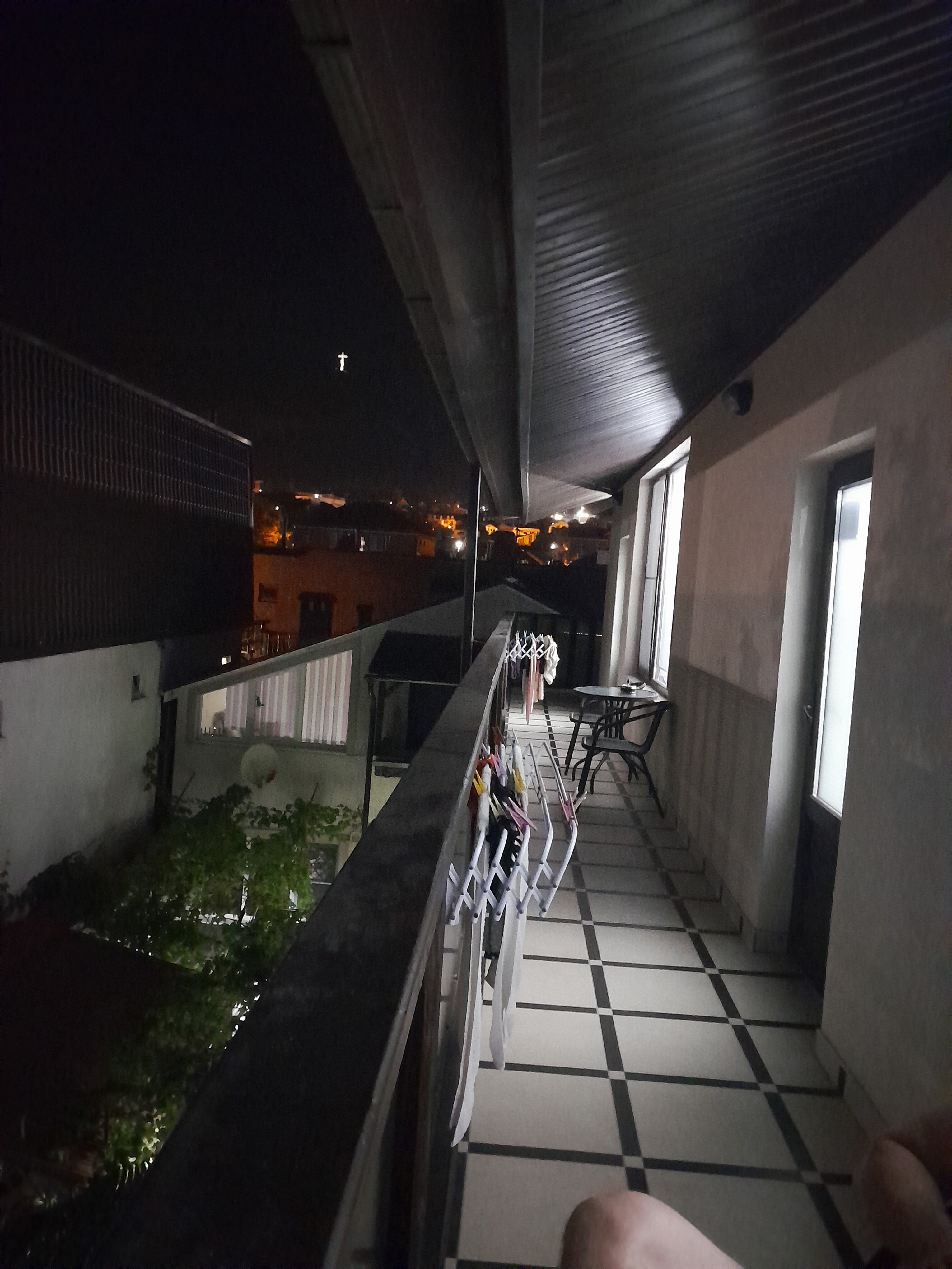 Фото Золотая рыбка