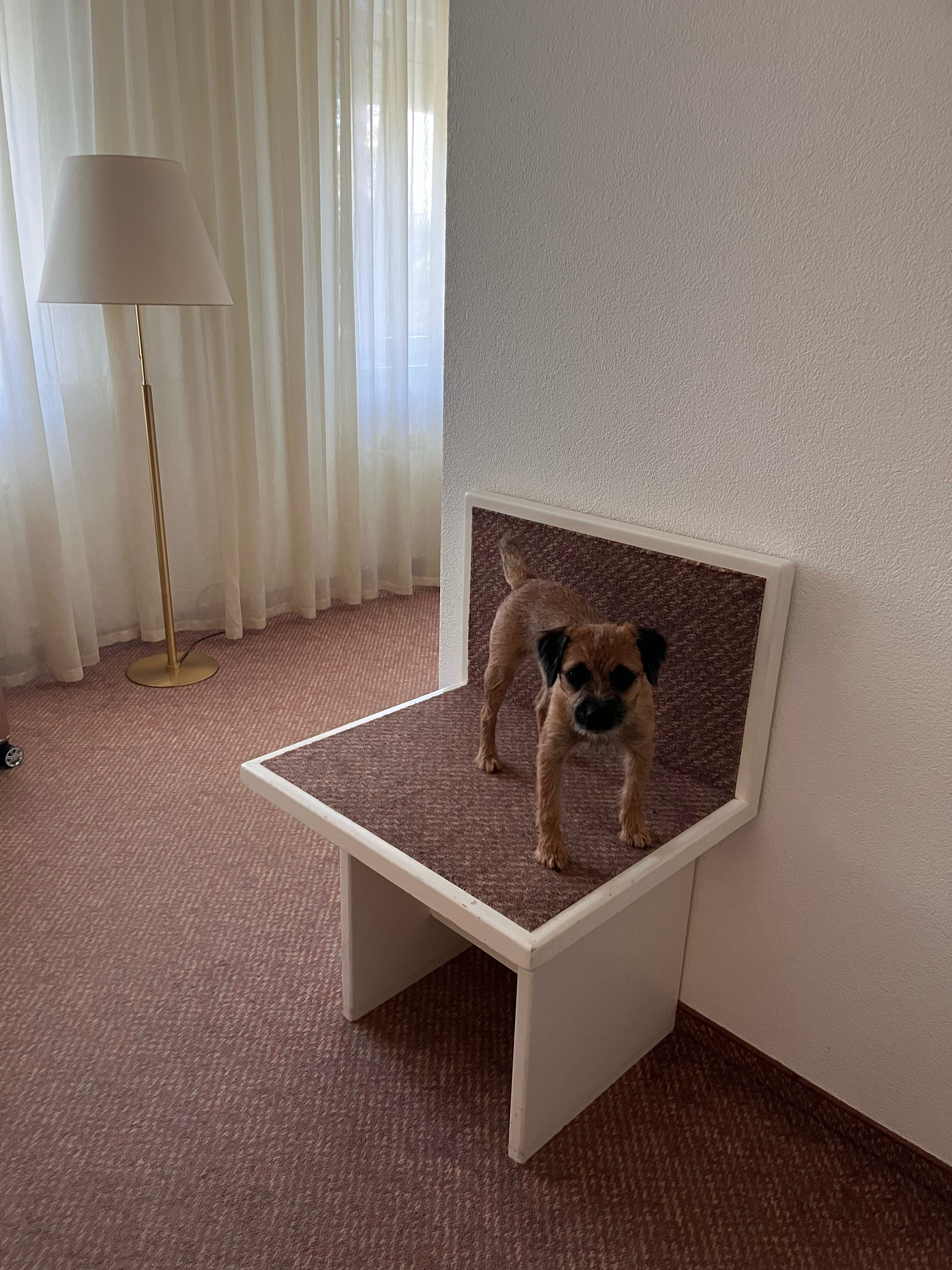 Фото Швейцарский дом