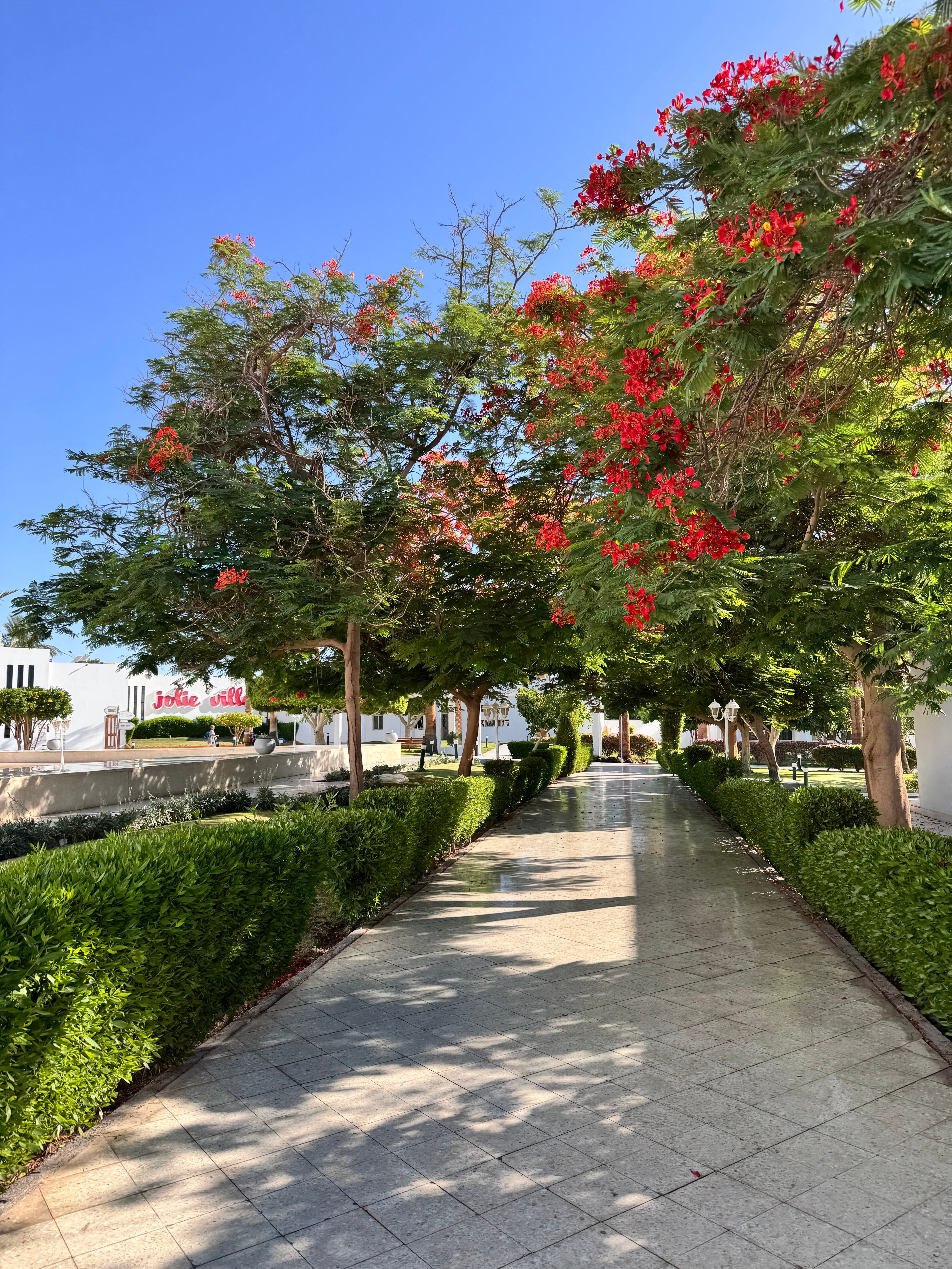 Фото Maritim Jolie Ville Resort & Casino Sharm El Sheikh