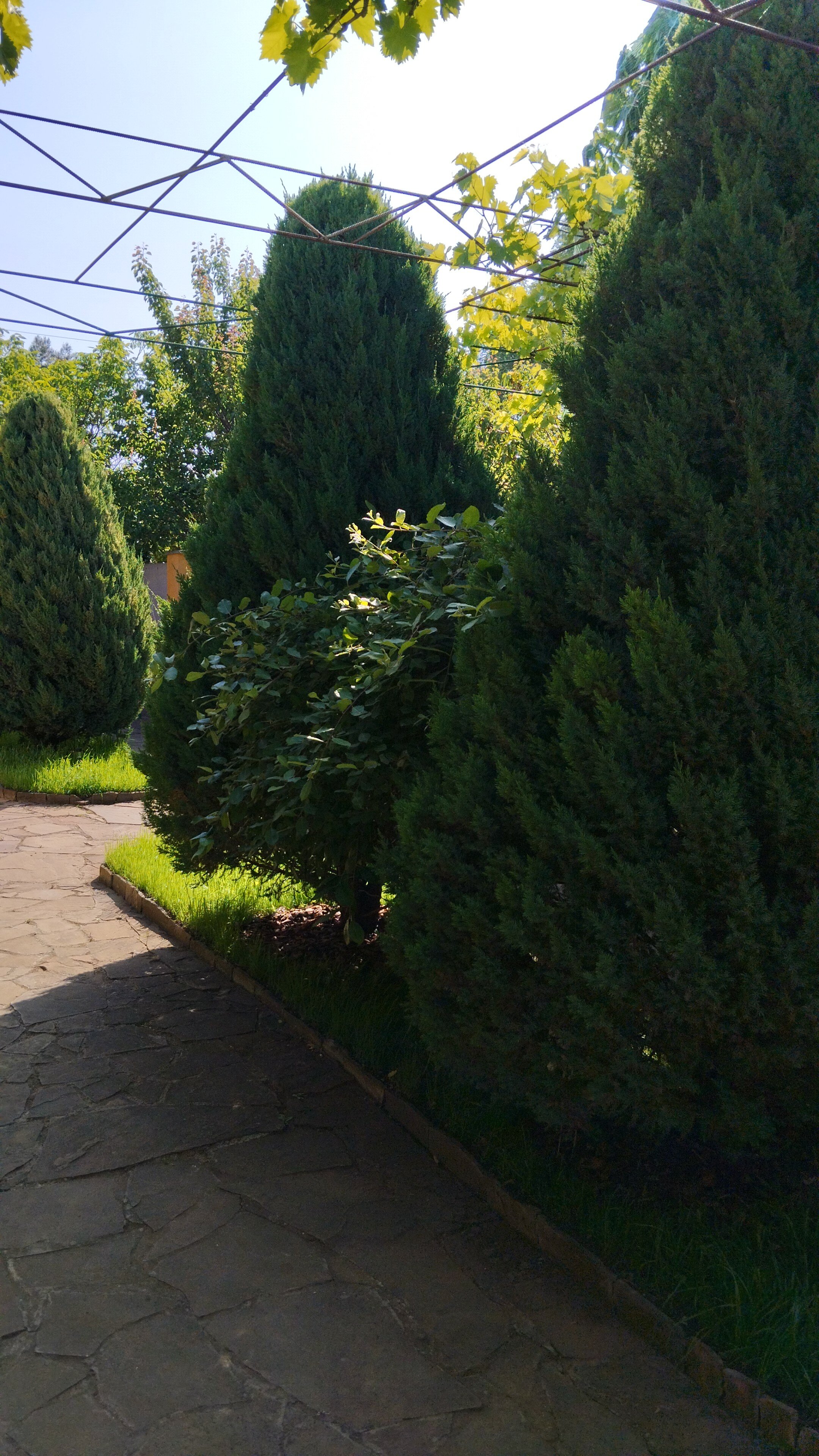 Фото В гостях у моря