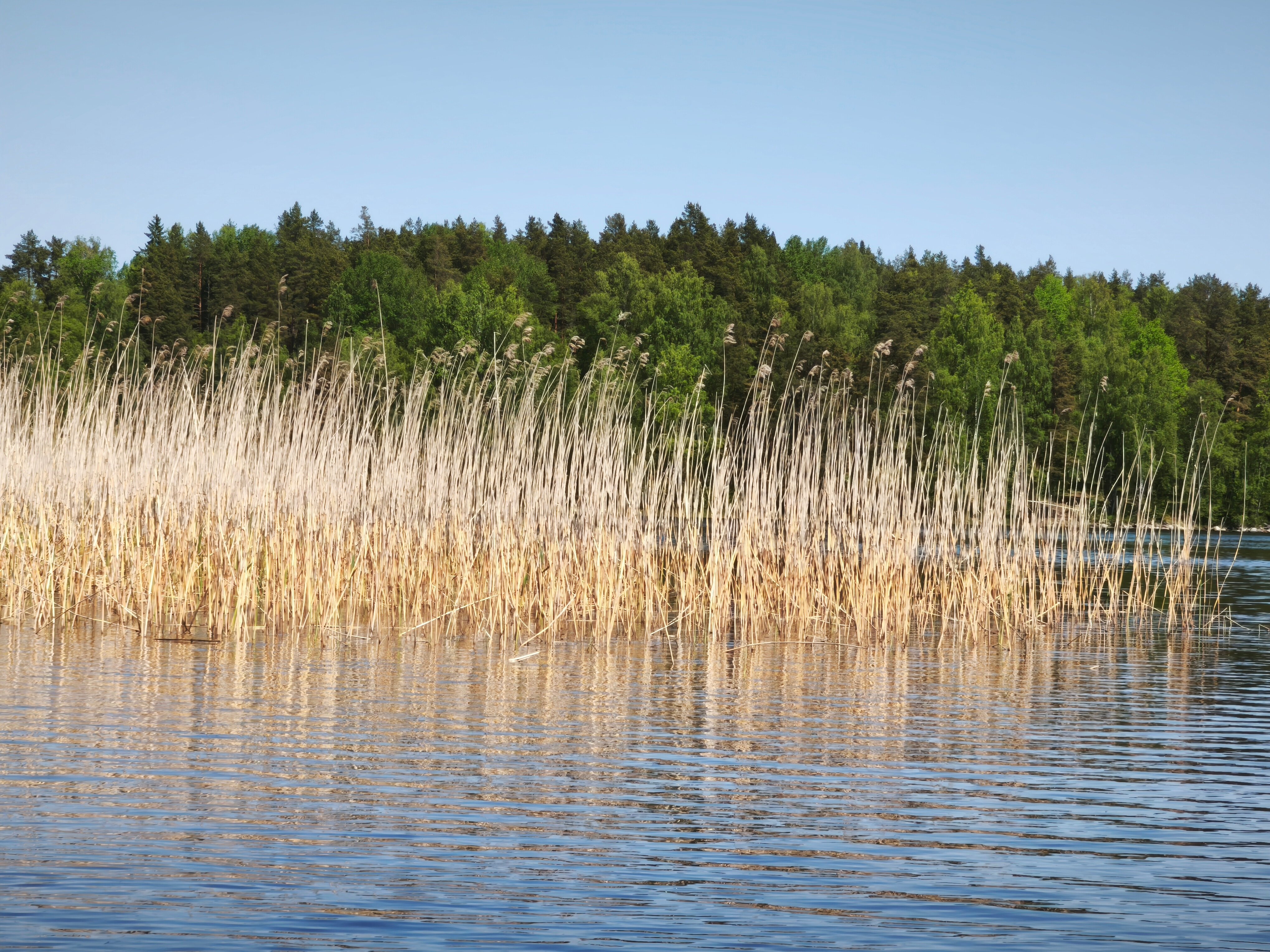 Фото Центр Активного Отдыха Деревня Терву