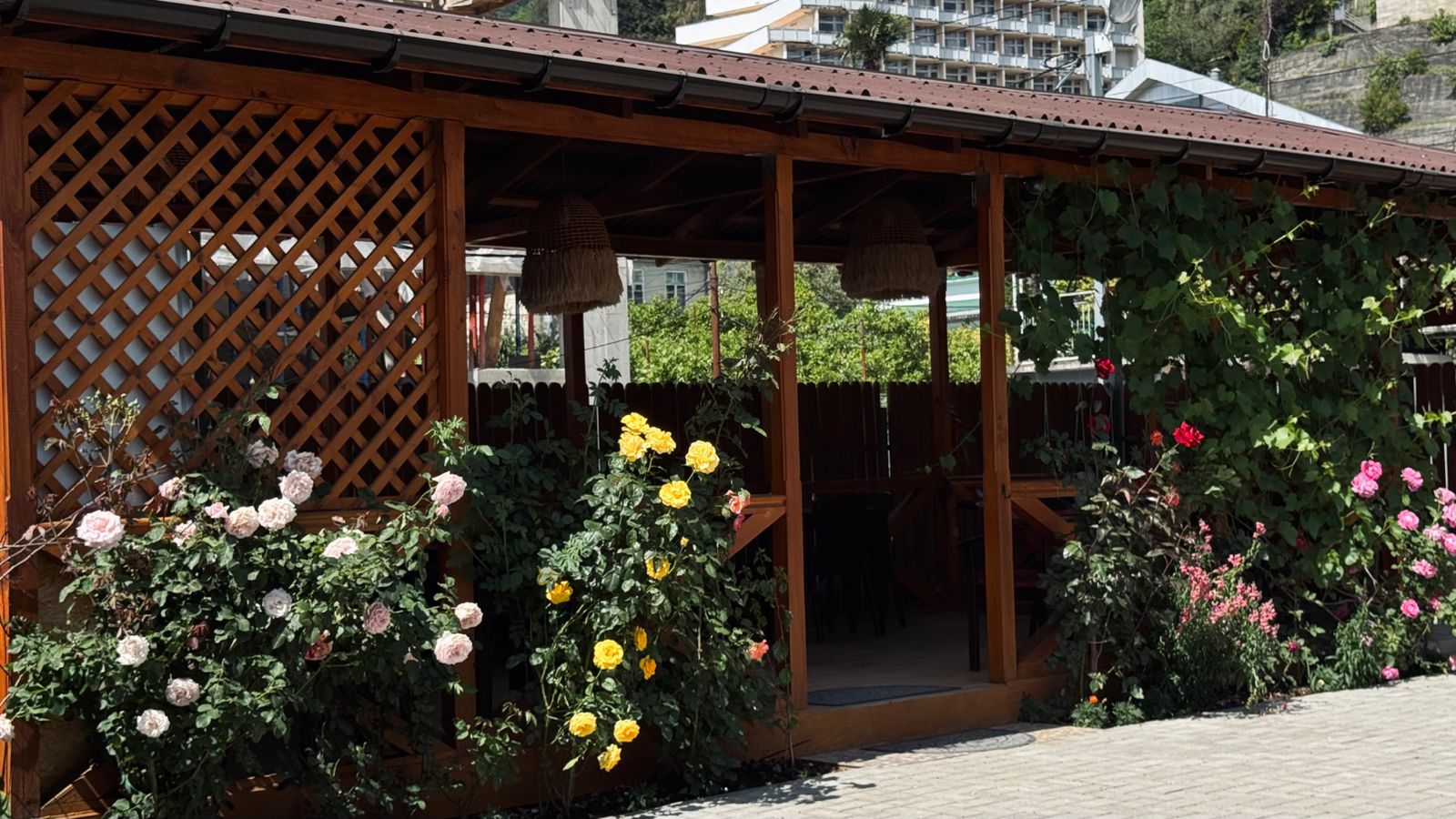 Фото Малина