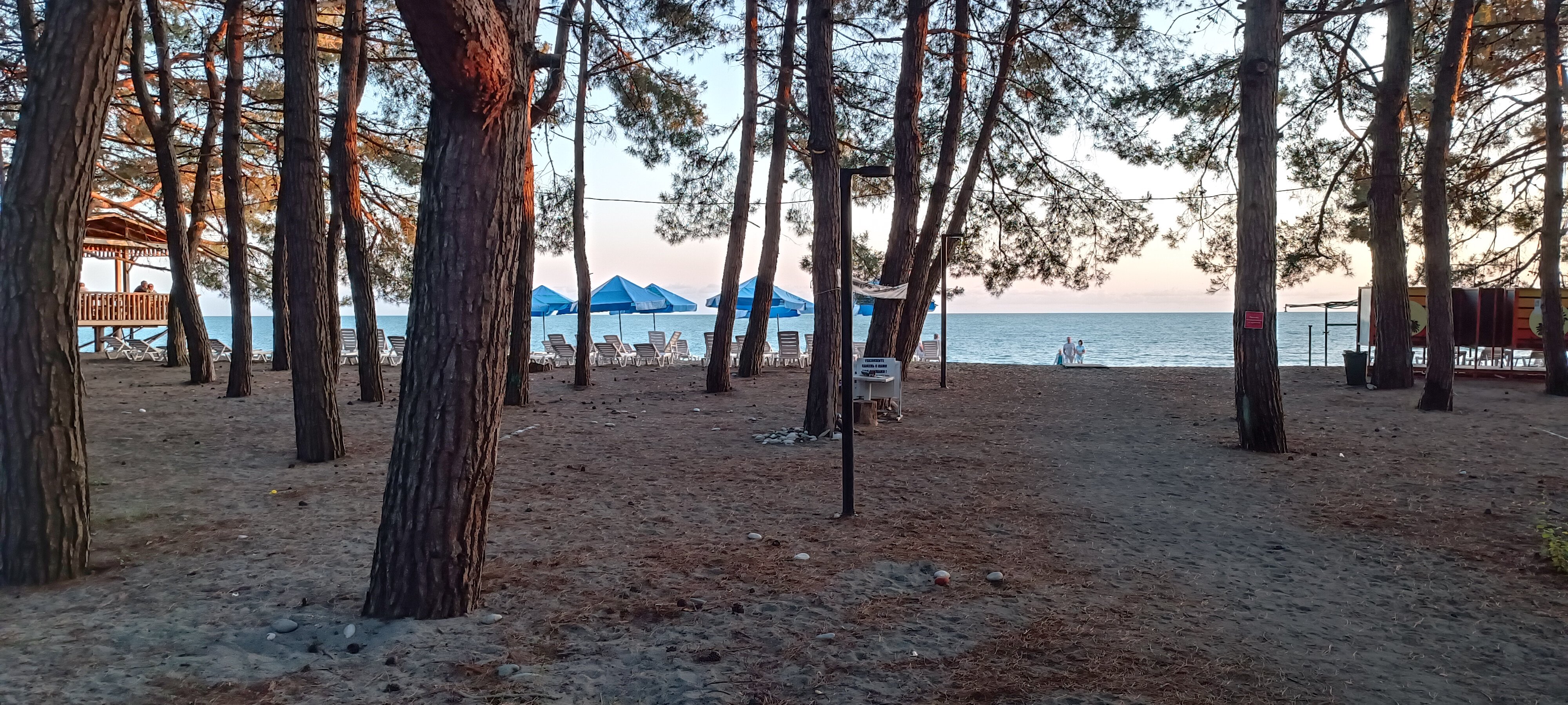 Фото База отдыха Асса