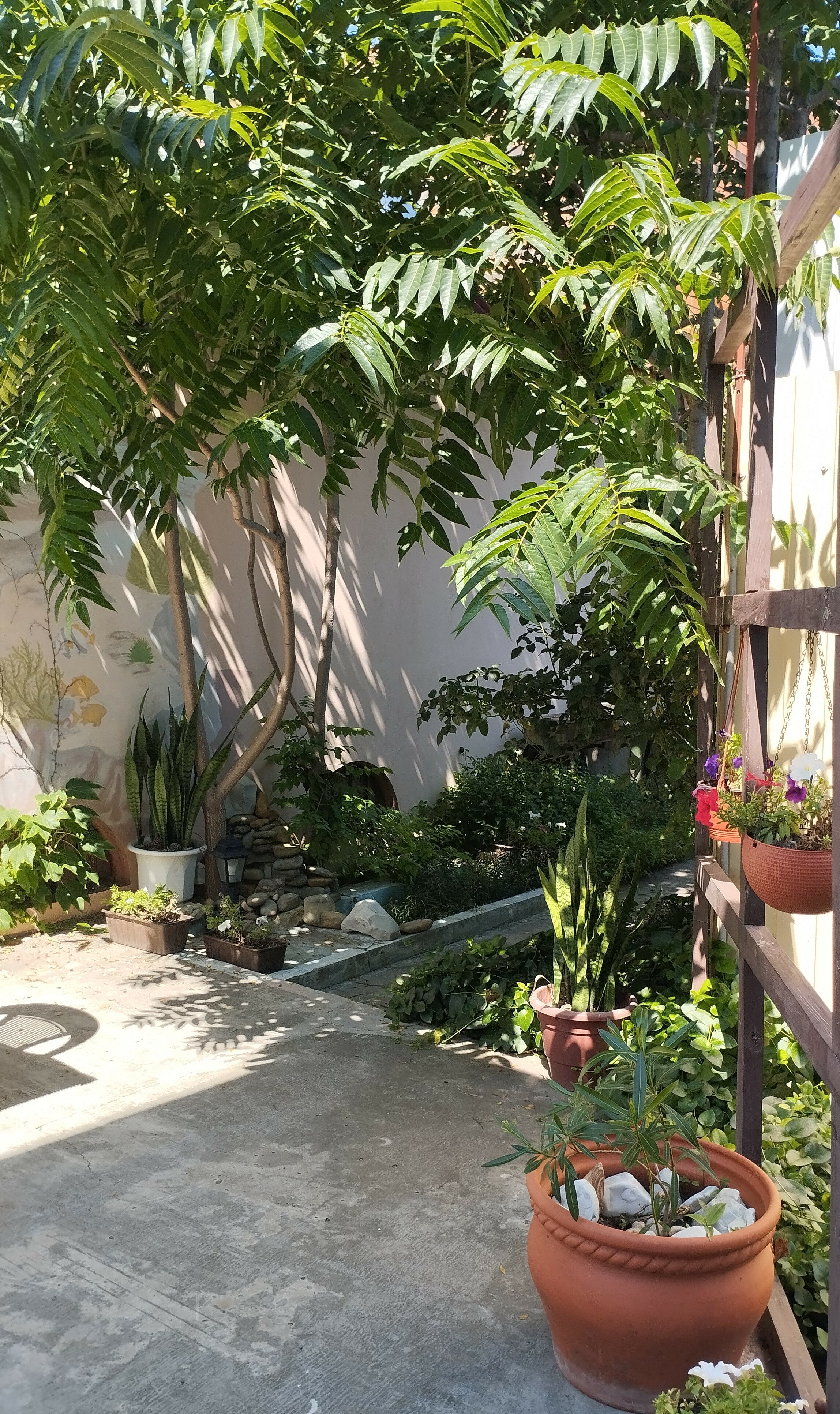 Фото Анапское взморье